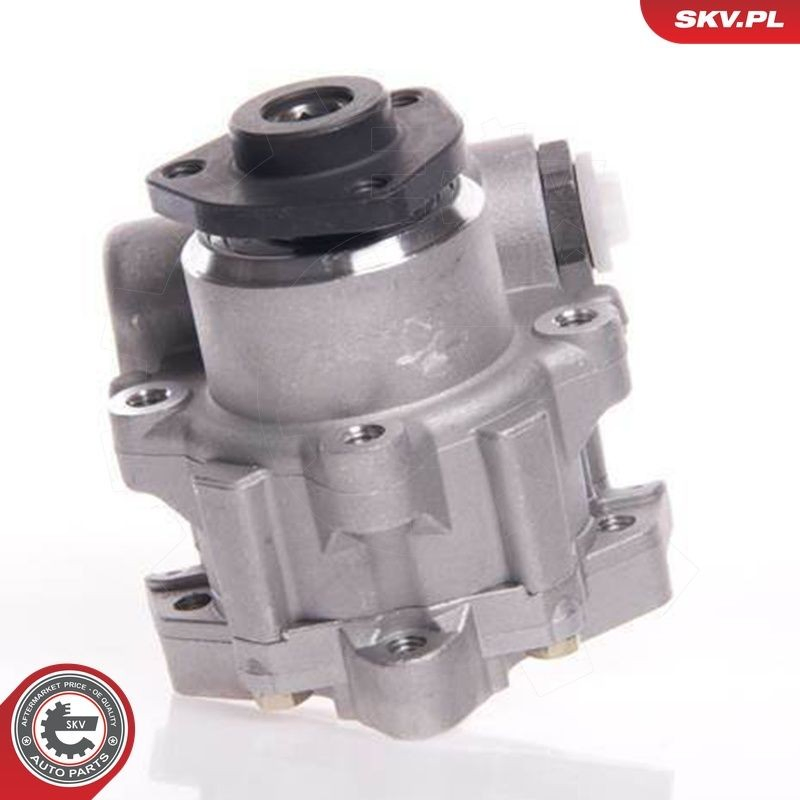 Купити 10SKV145 SKV Насос гідравліки