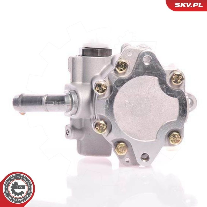 Купити 10SKV165 SKV Насос гідравліки