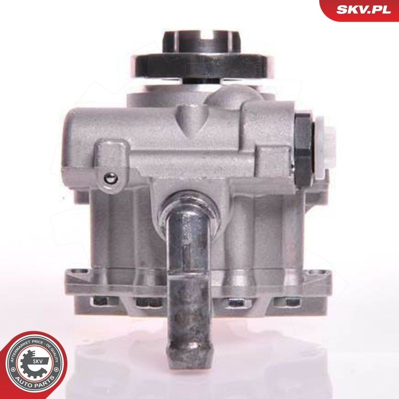 Насос ГУР 10SKV166 SKV