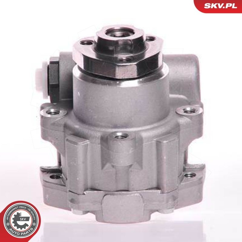 Купити 10SKV166 SKV Насос гідравліки