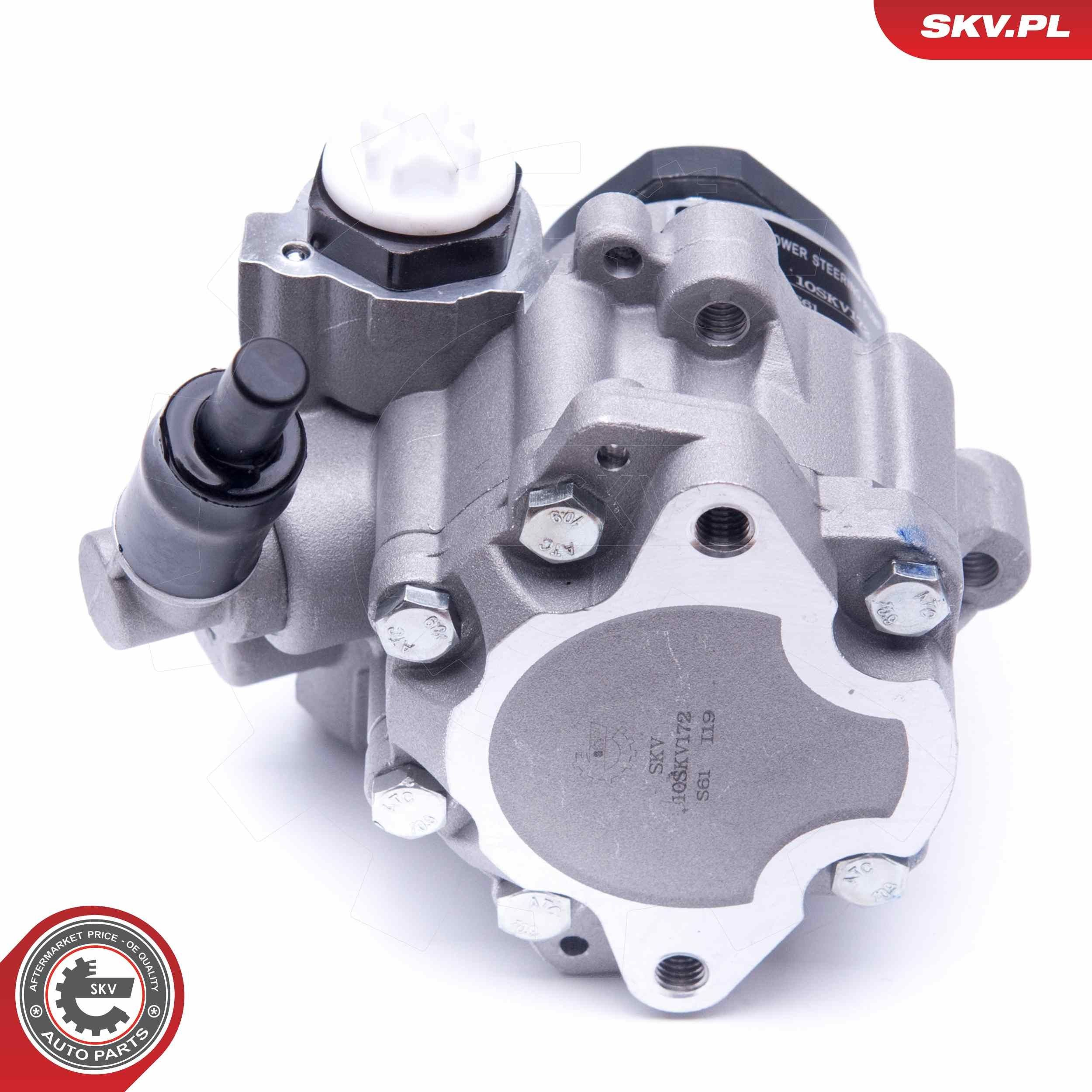Купити 10SKV172 SKV Насос гідравліки