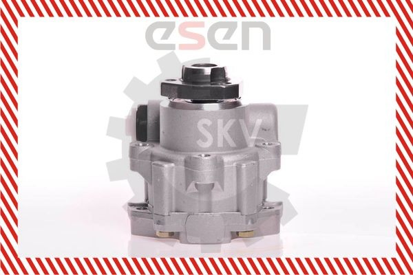 Насос ГУР 10SKV172 SKV