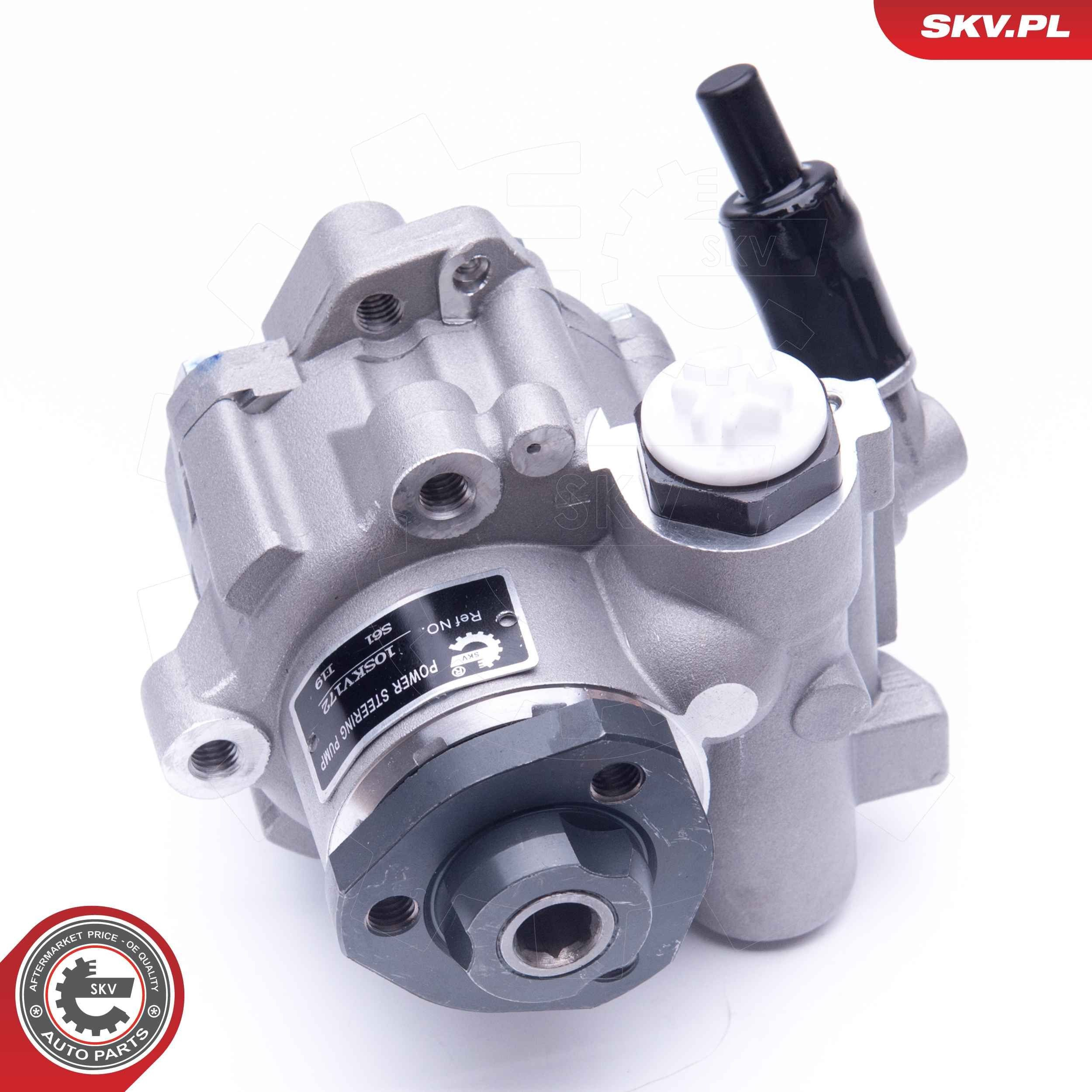 Купити 10SKV172 SKV Насос гідравліки
