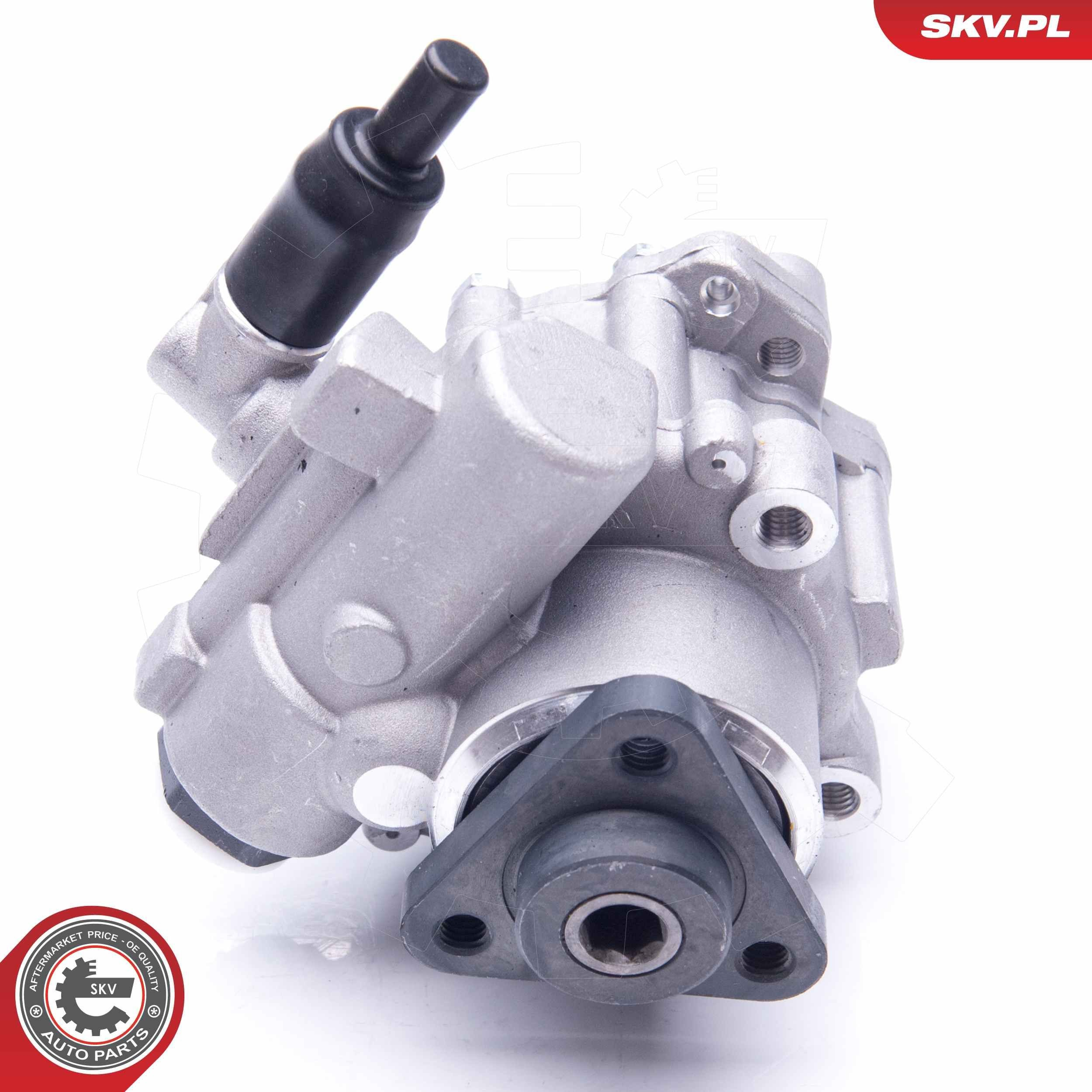 Купити 10SKV196 SKV Насос гідравліки