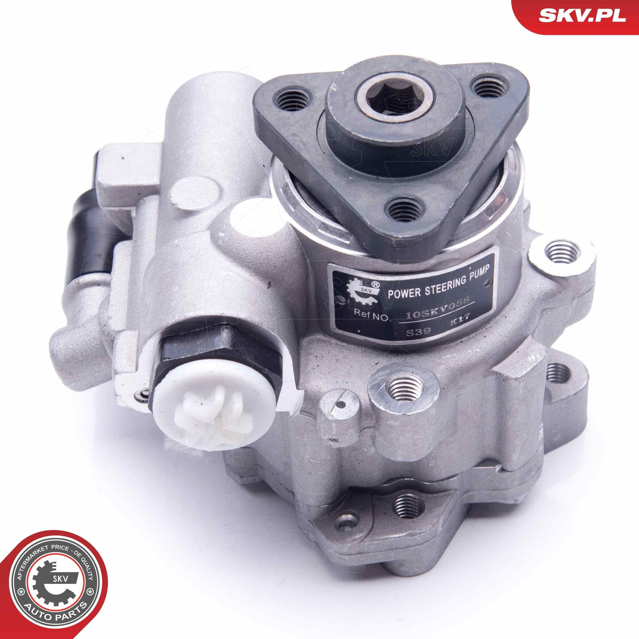 10SKV196 SKV Насос гідропідсилювача