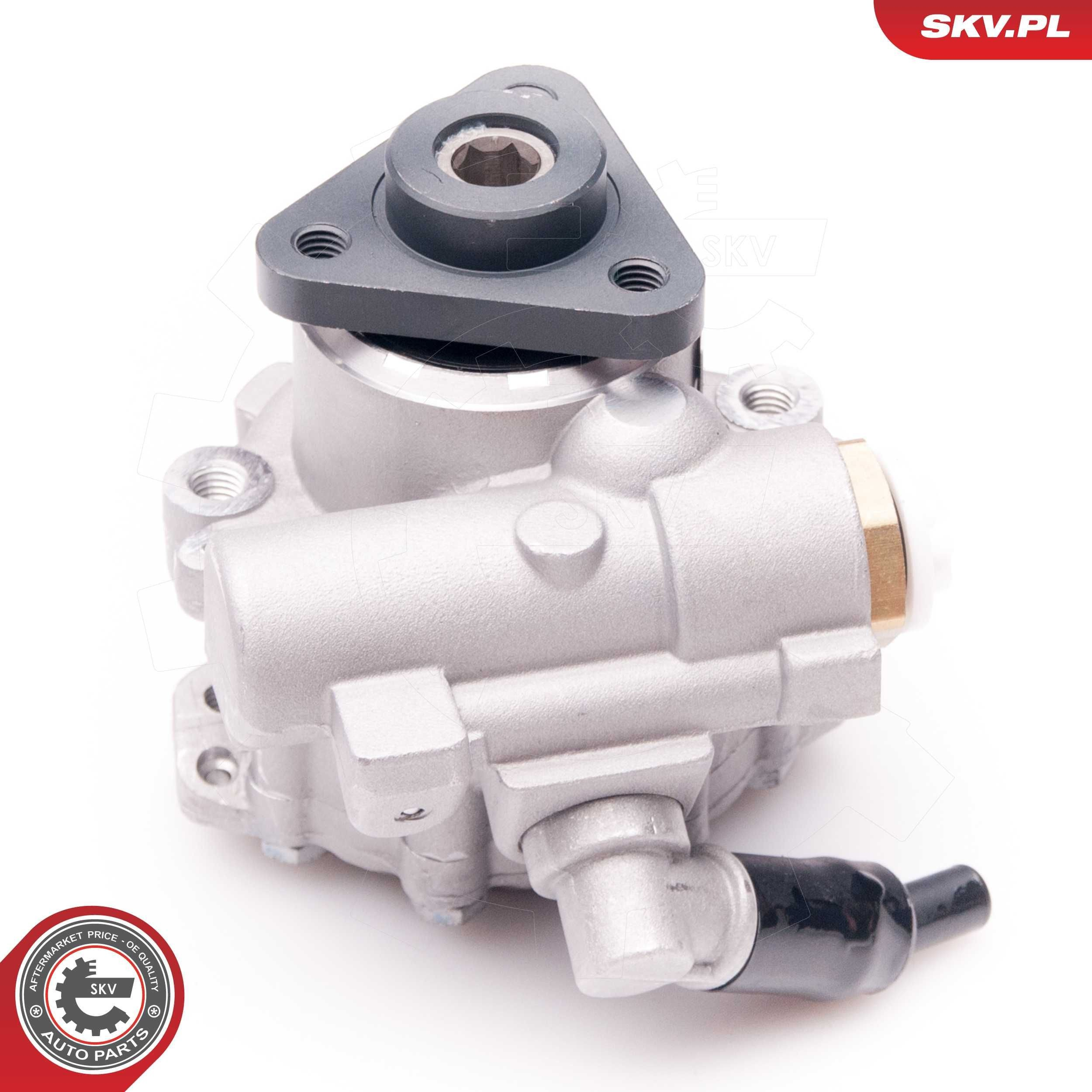 10SKV239 SKV Насос гідропідсилювача