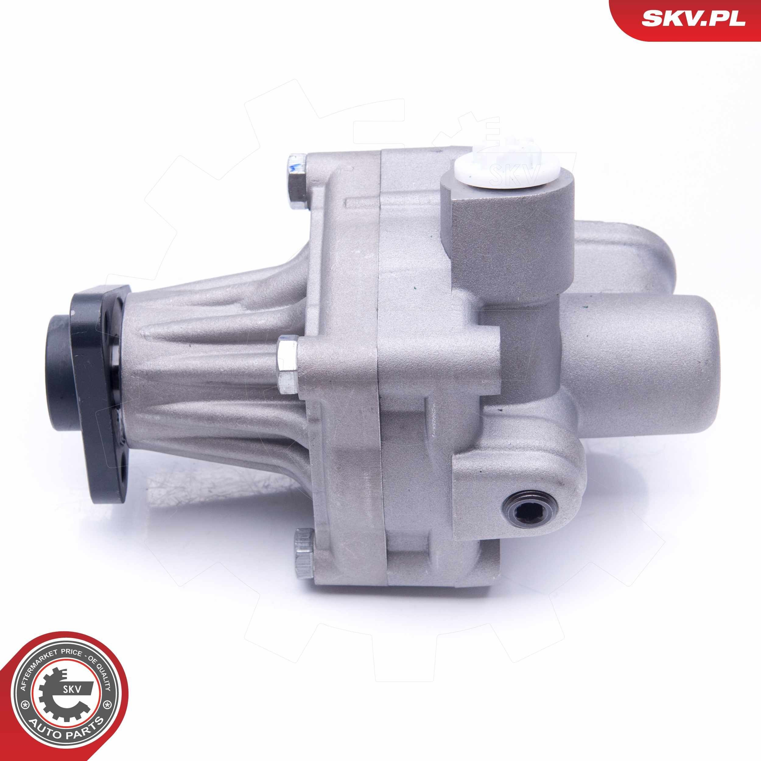10SKV245 SKV Насос гідропідсилювача
