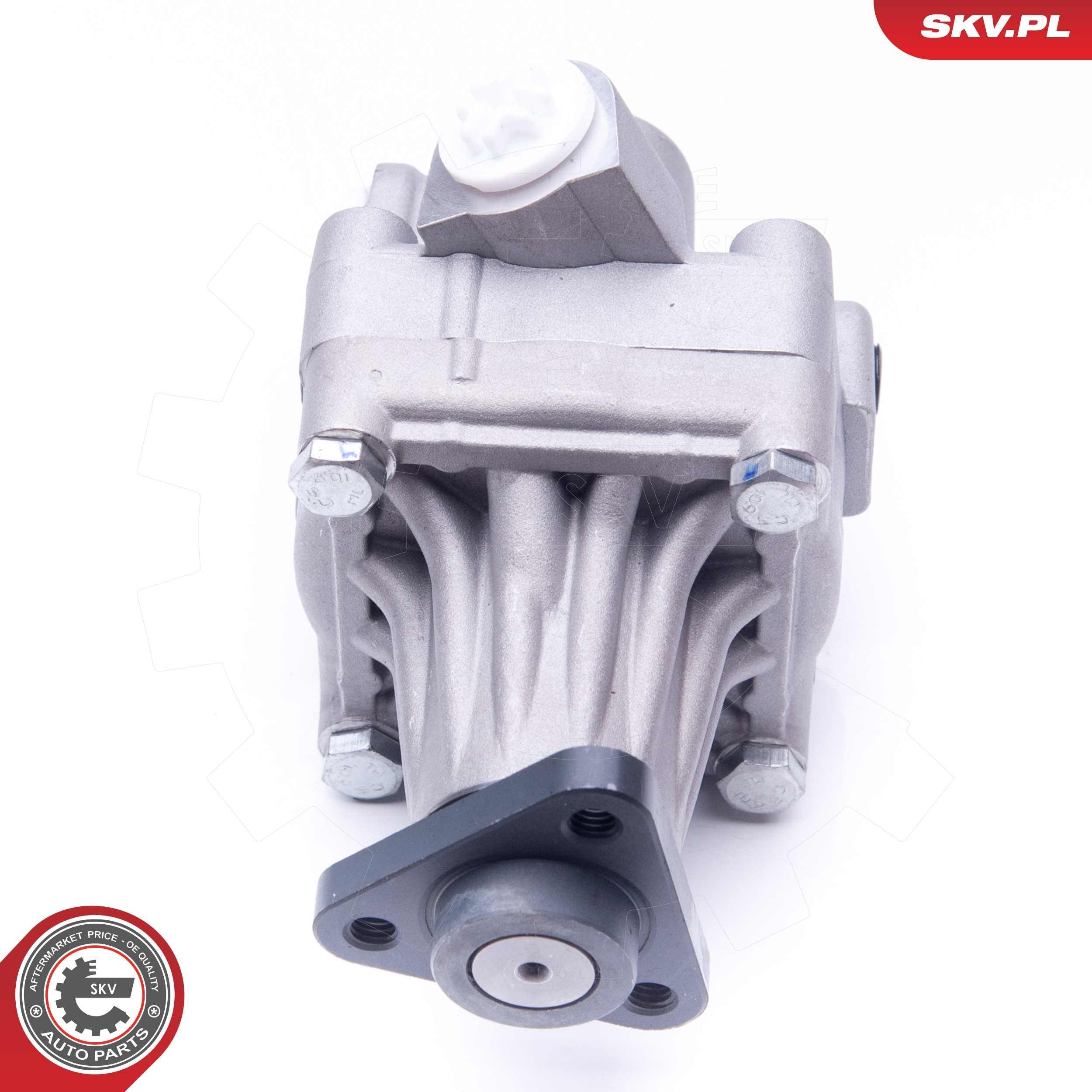 Насос ГУР 10SKV245 SKV