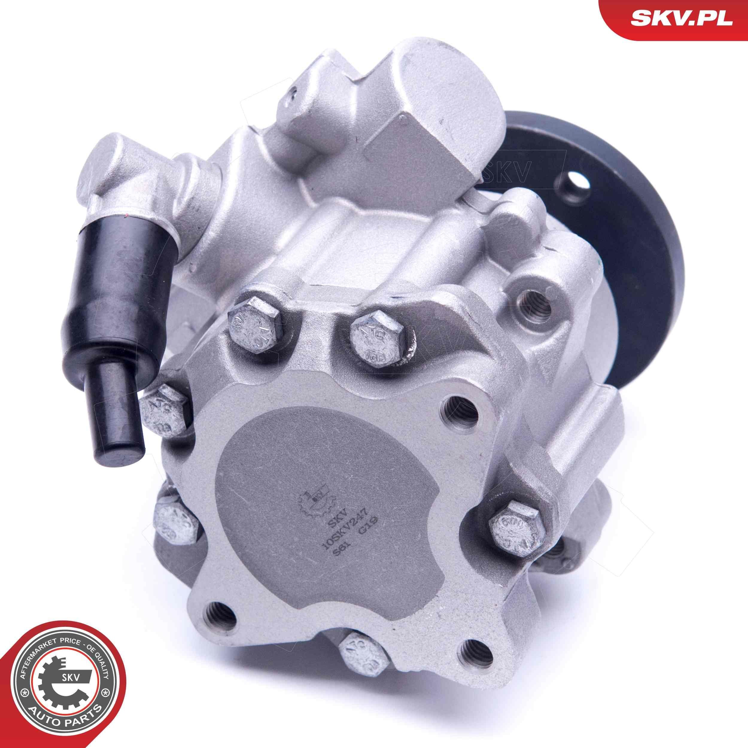 10SKV247 SKV Насос гідропідсилювача
