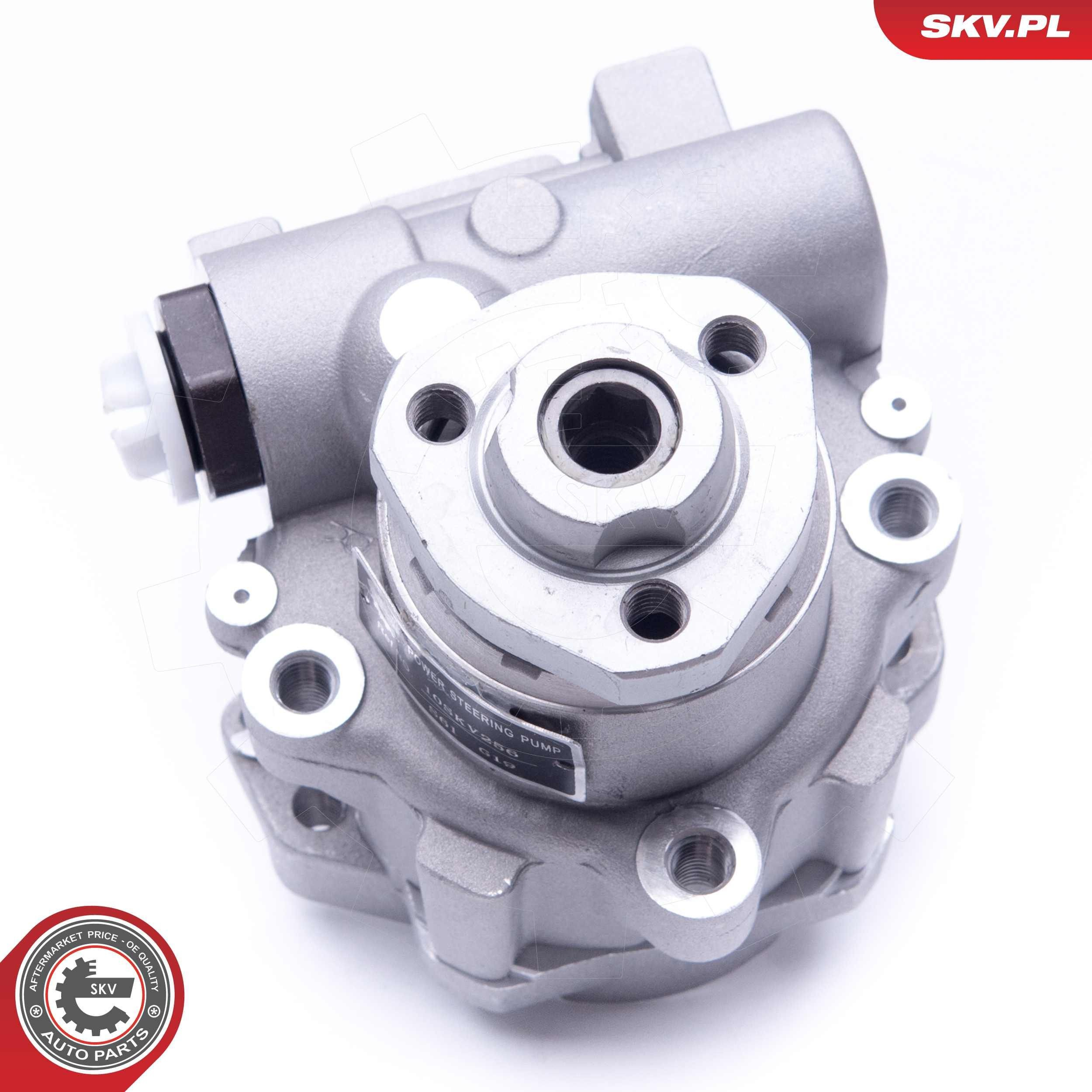 Насос ГУР 10SKV256 SKV