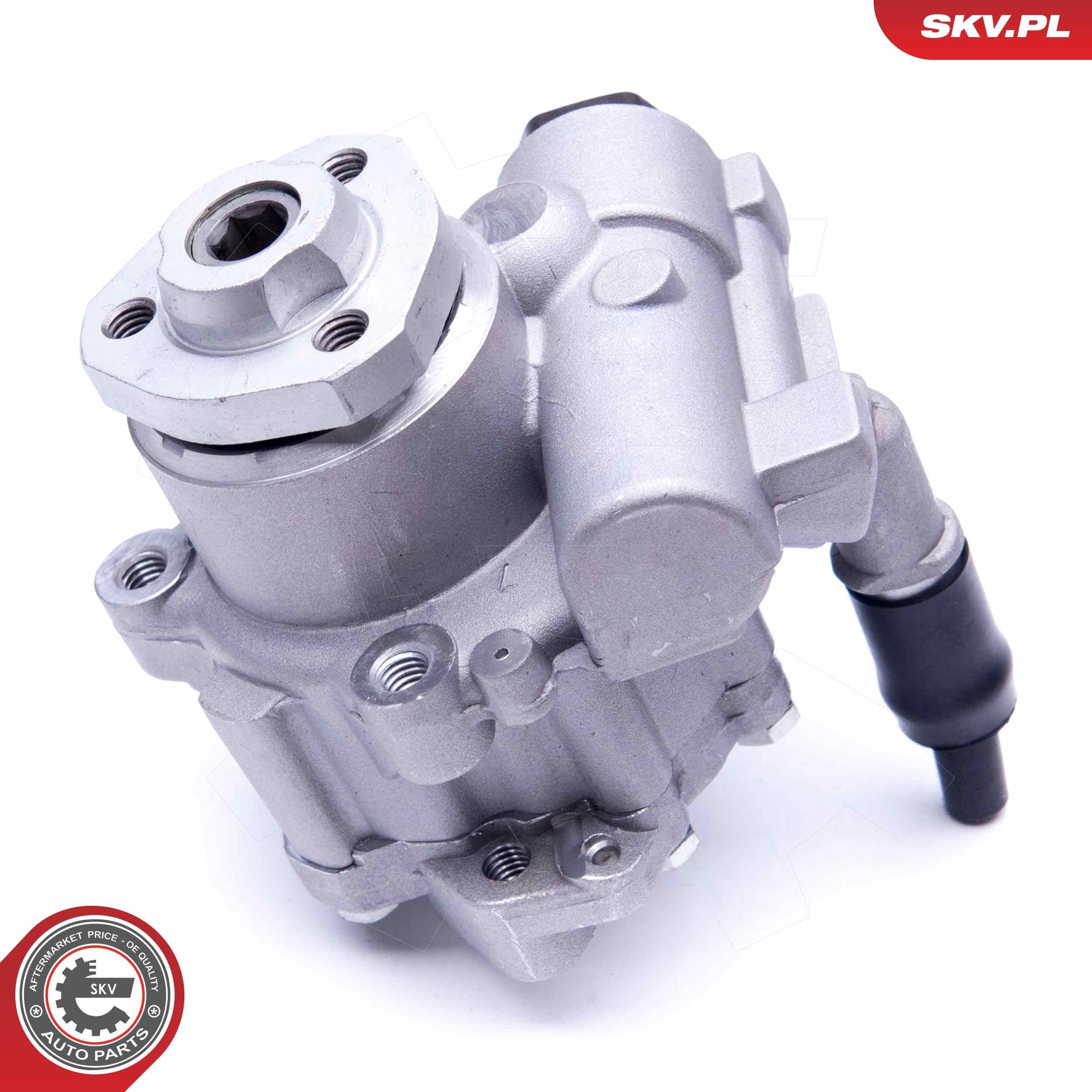 10SKV256 SKV Насос гідропідсилювача