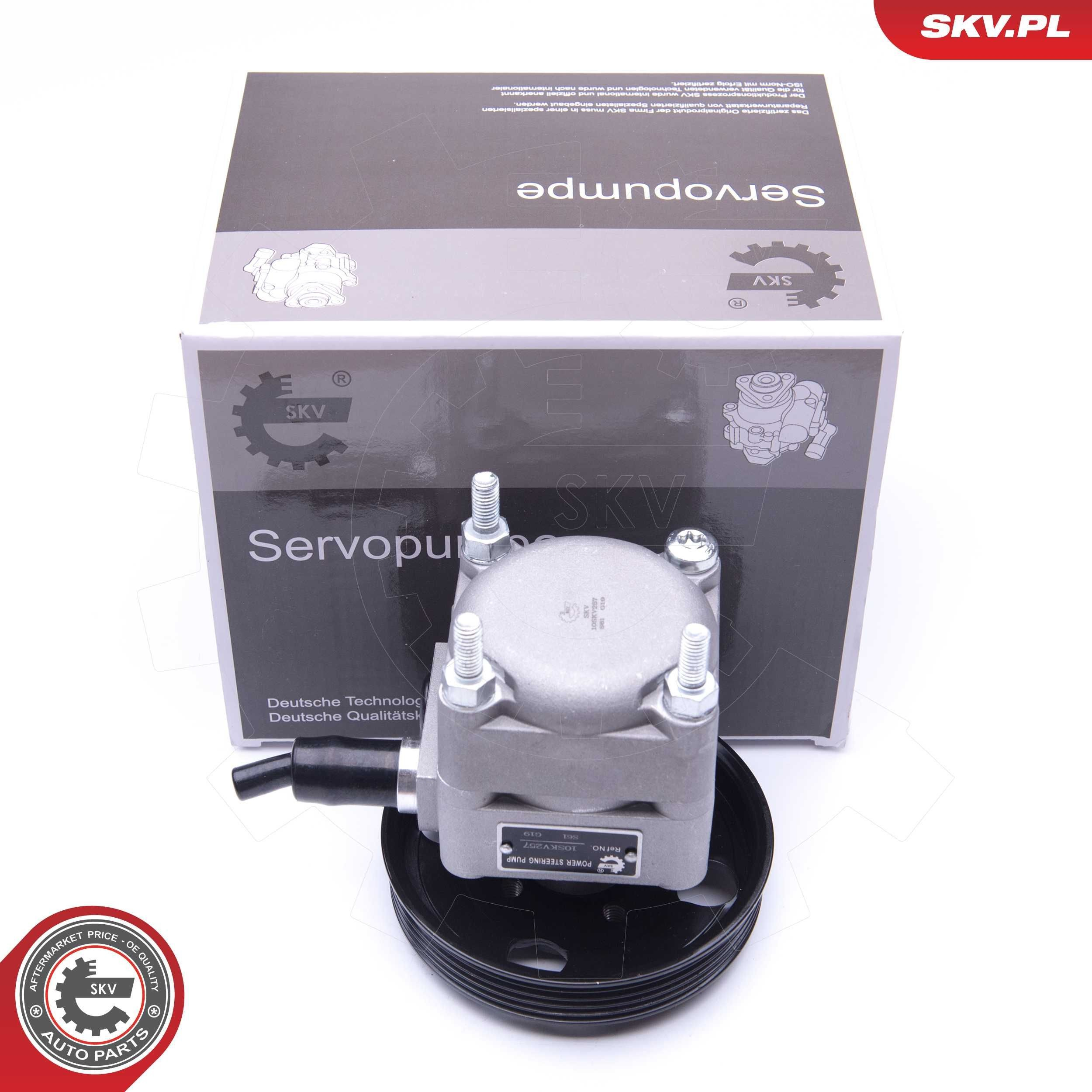 10SKV257 SKV Насос гідропідсилювача