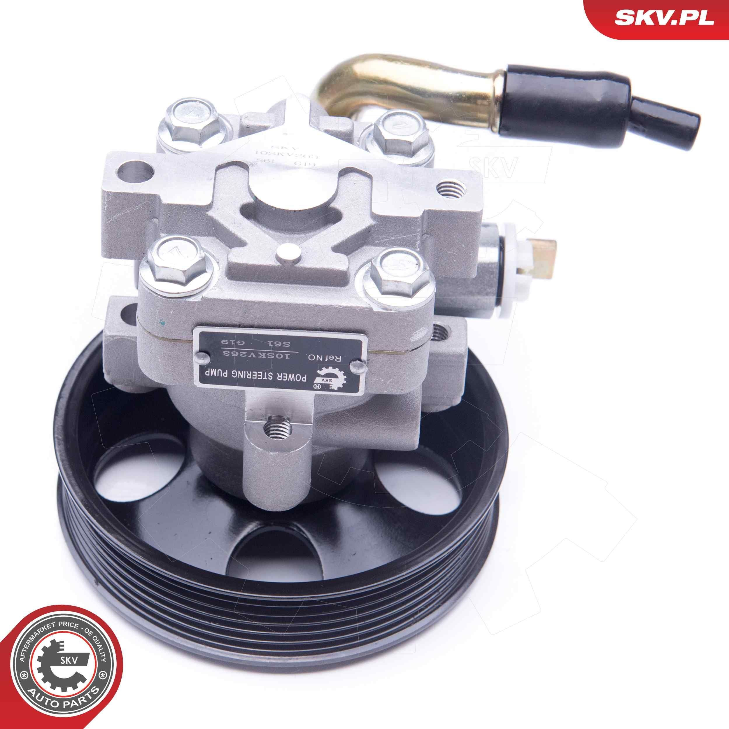 Насос ГУР 10SKV263 SKV