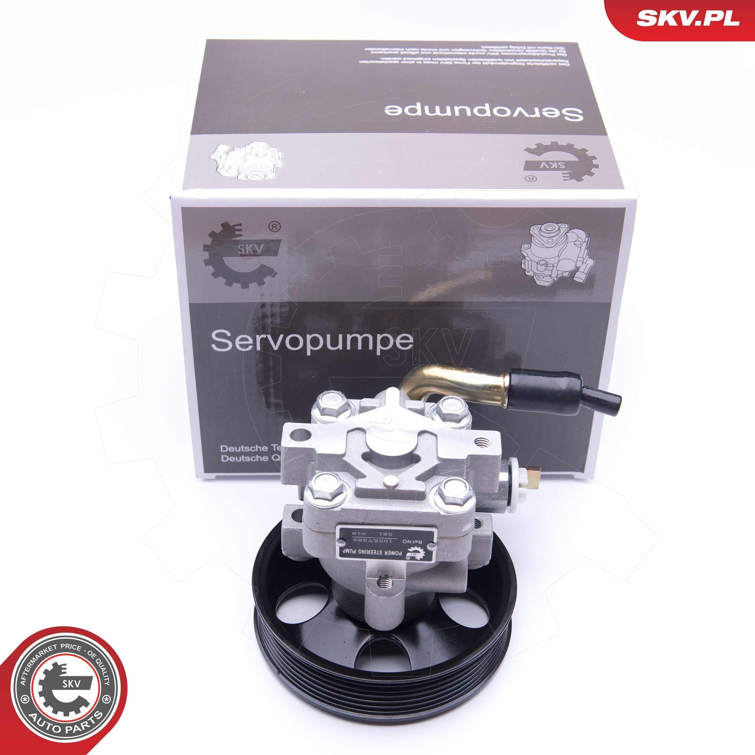 10SKV263 SKV Насос гідропідсилювача