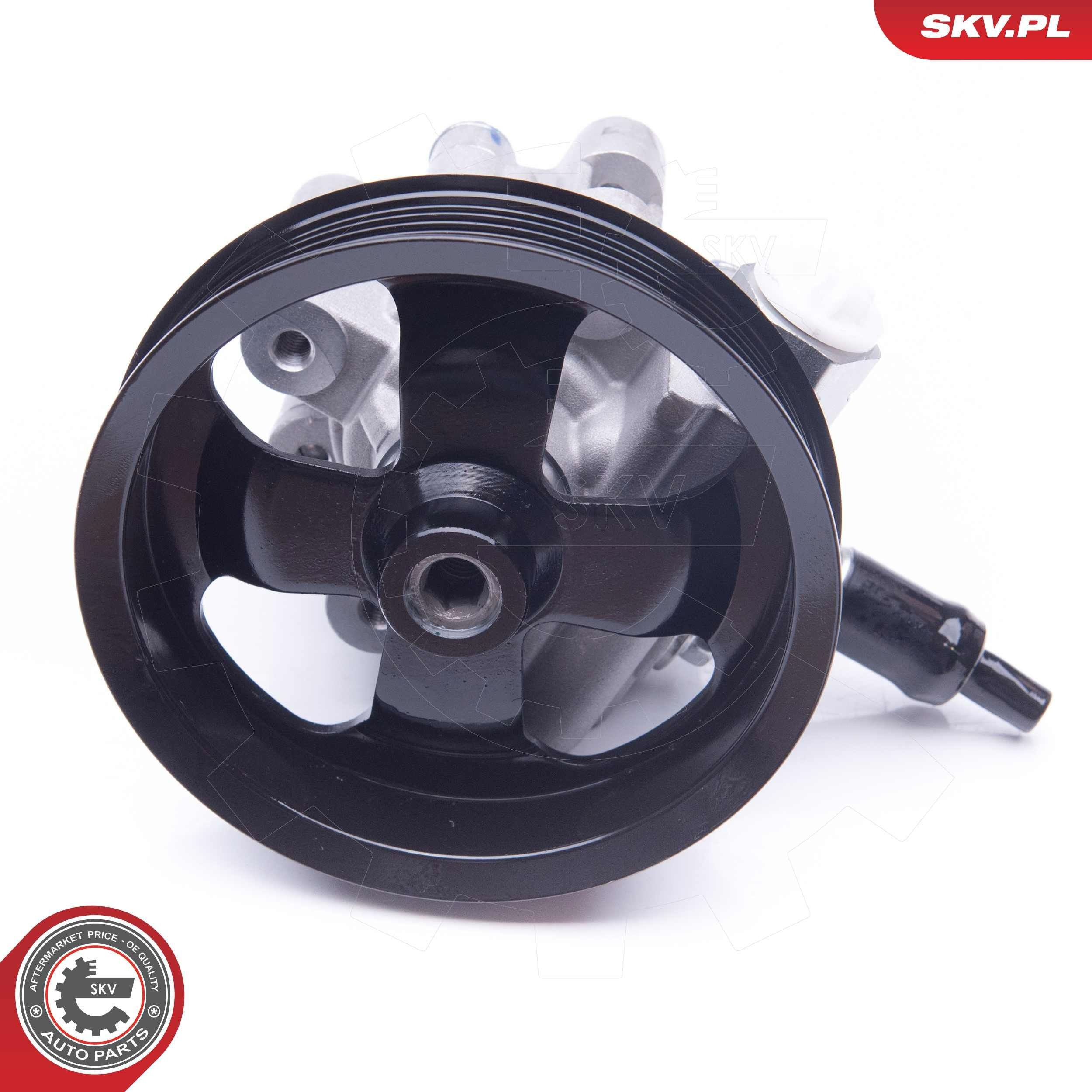 Купити 10SKV265 SKV Насос гідравліки