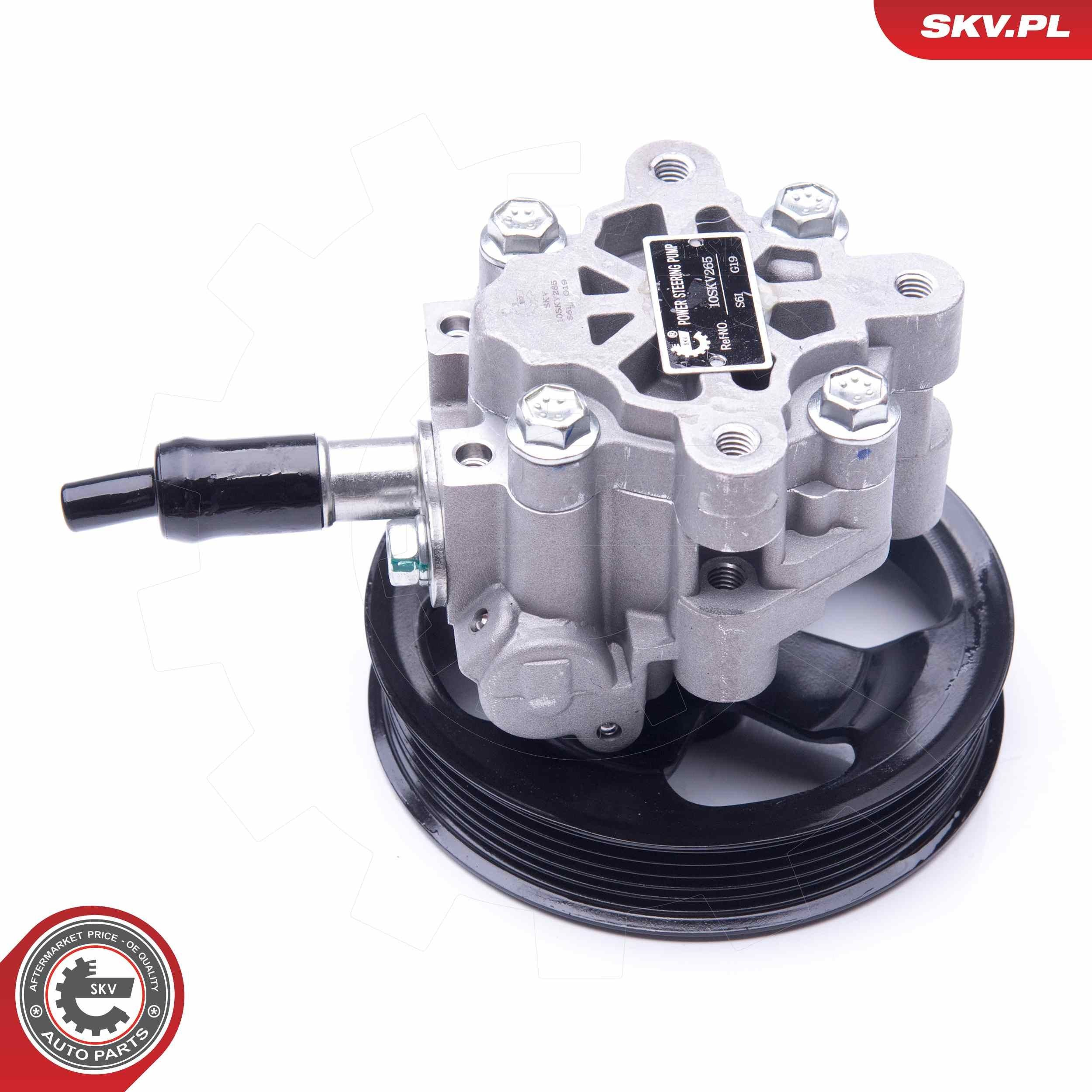 10SKV265 SKV Насос гідропідсилювача