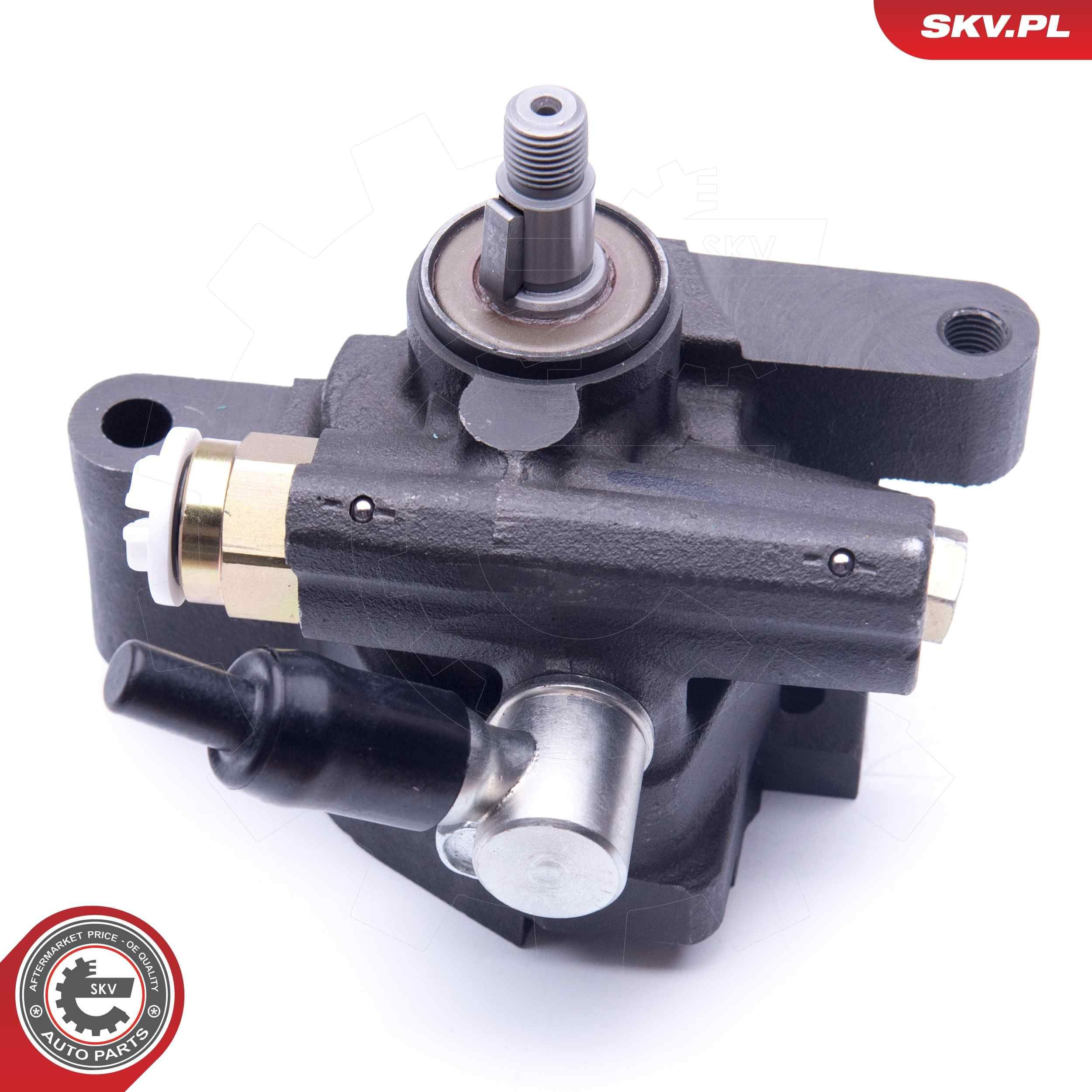 10SKV286 SKV Насос гідропідсилювача