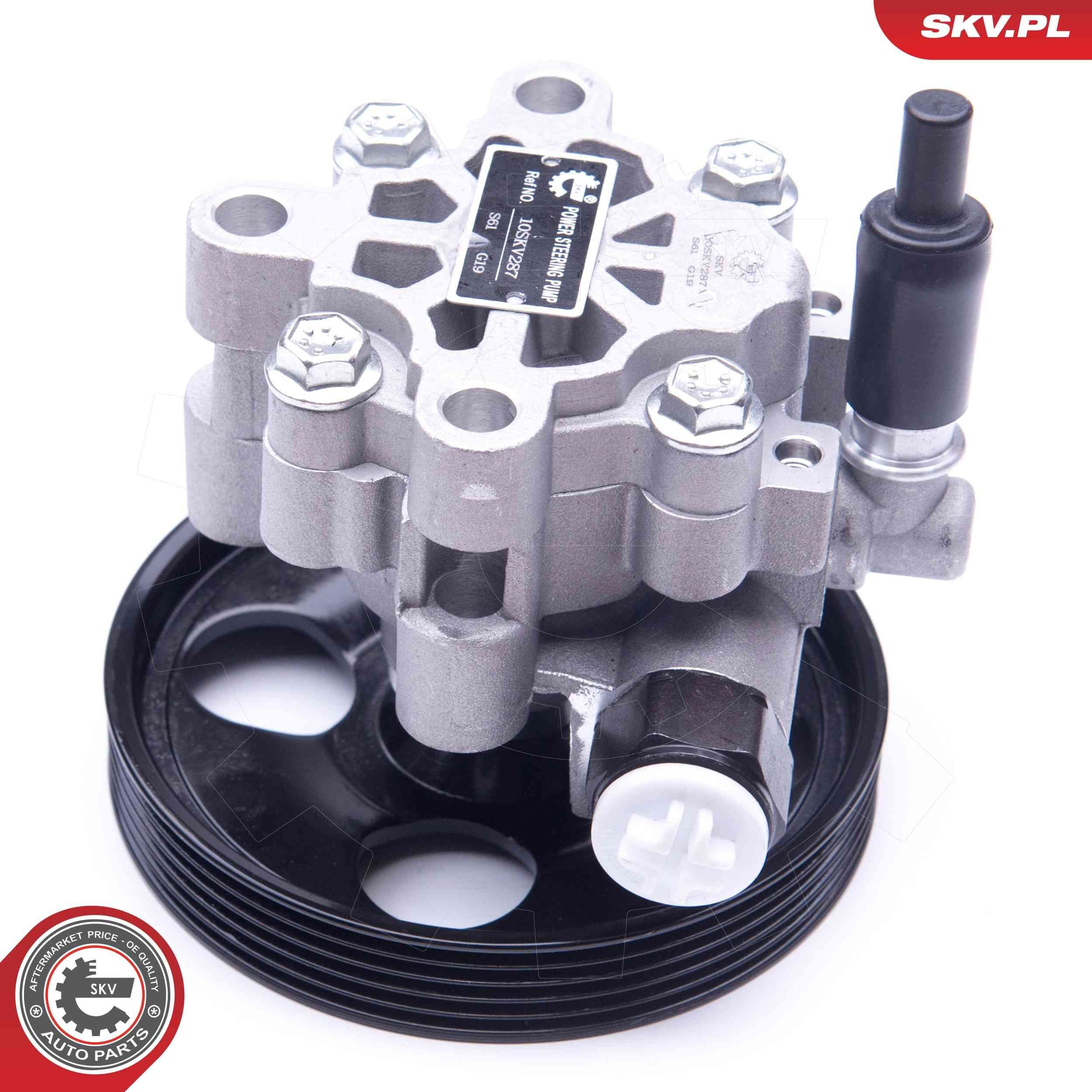 Купити 10SKV287 SKV Насос гідравліки