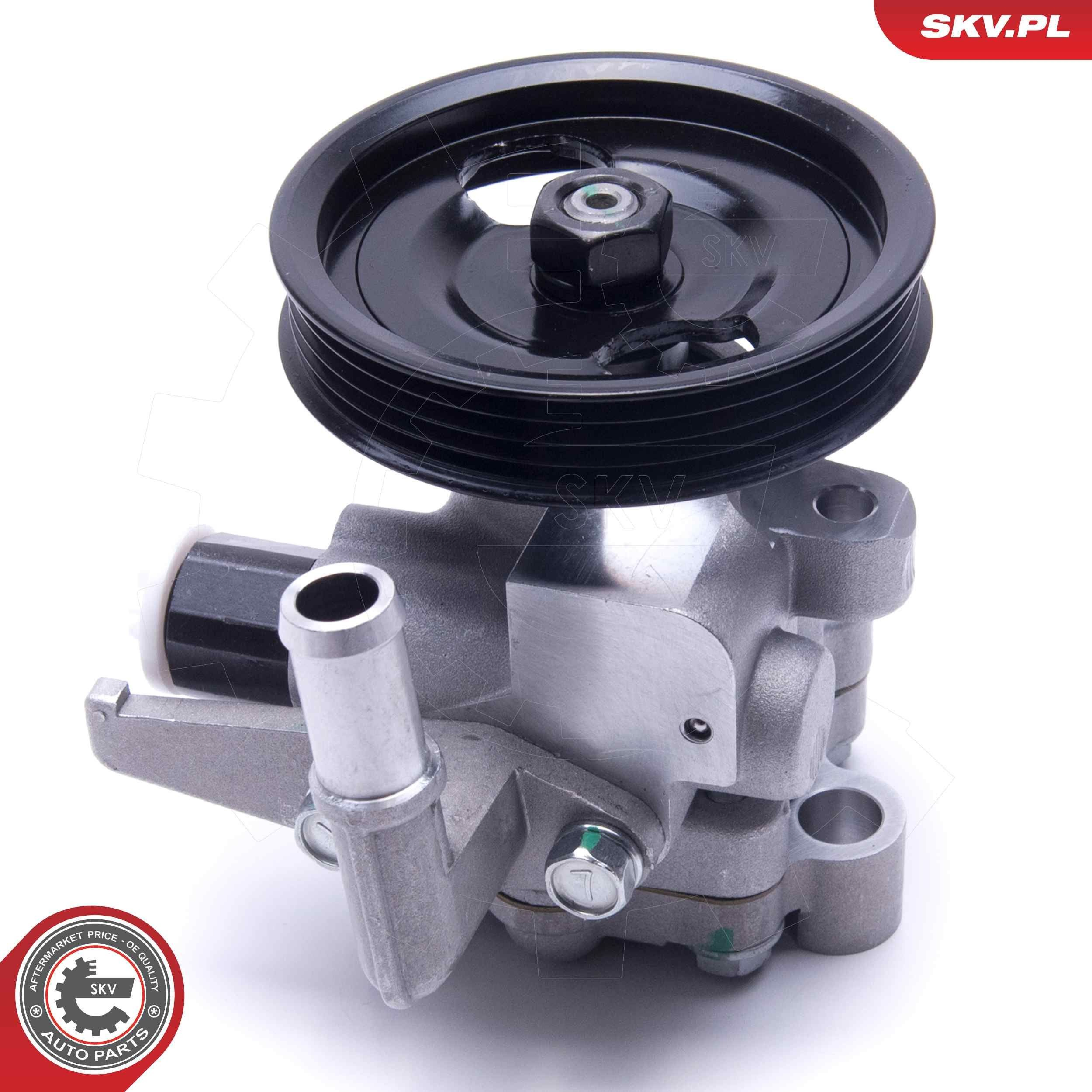 10SKV300 SKV Насос гідропідсилювача