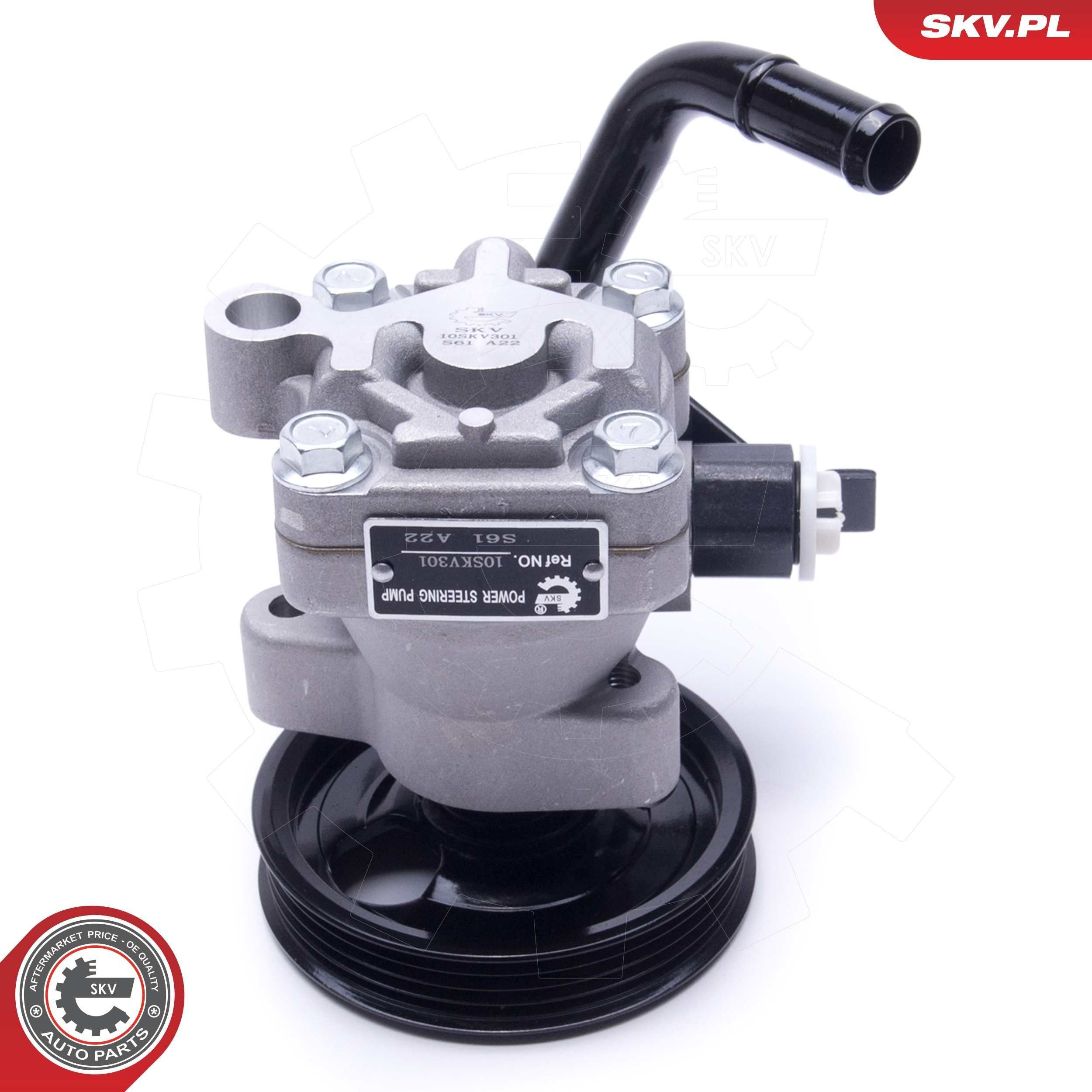 10SKV301 SKV Насос гідропідсилювача