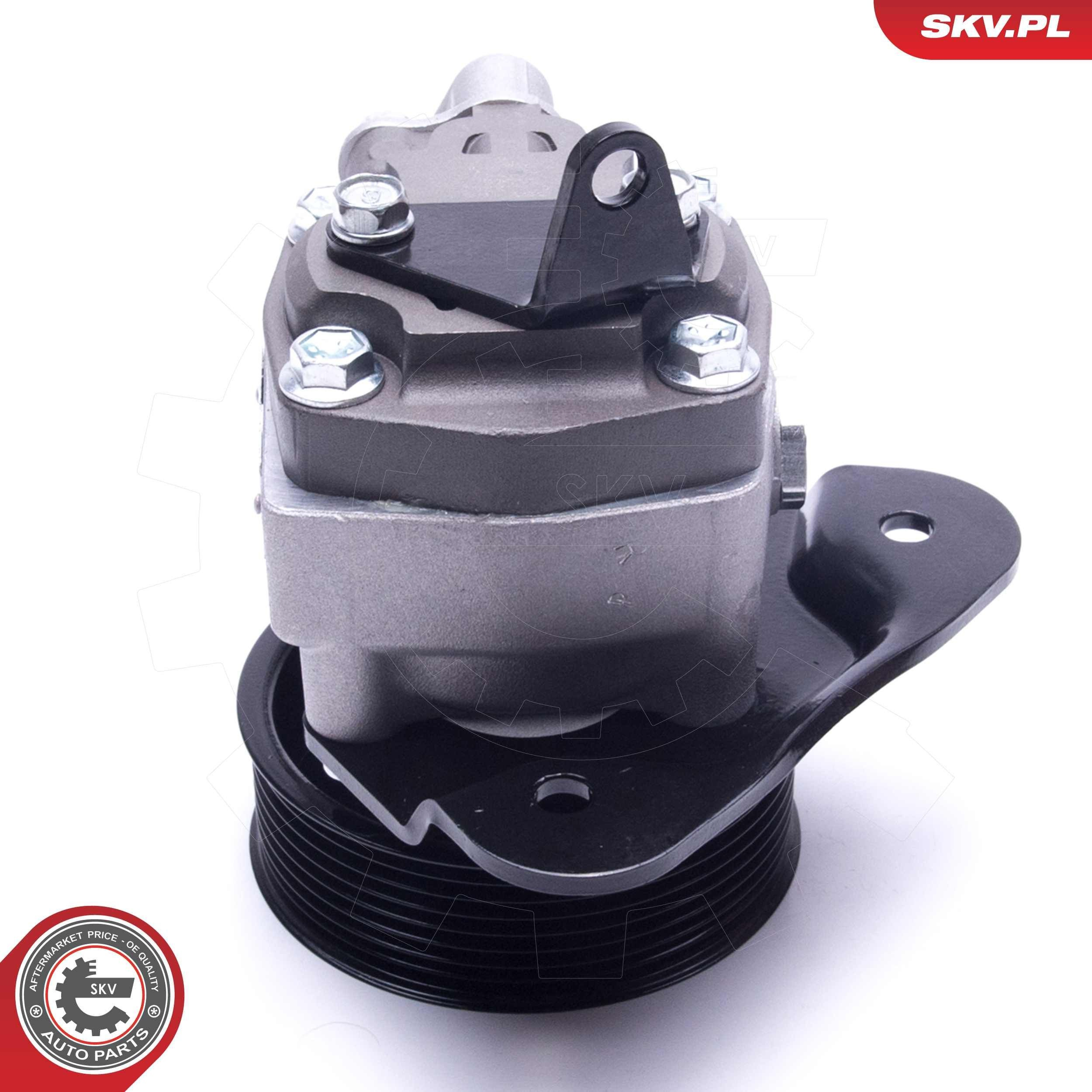 Насос ГУР 10SKV310 SKV