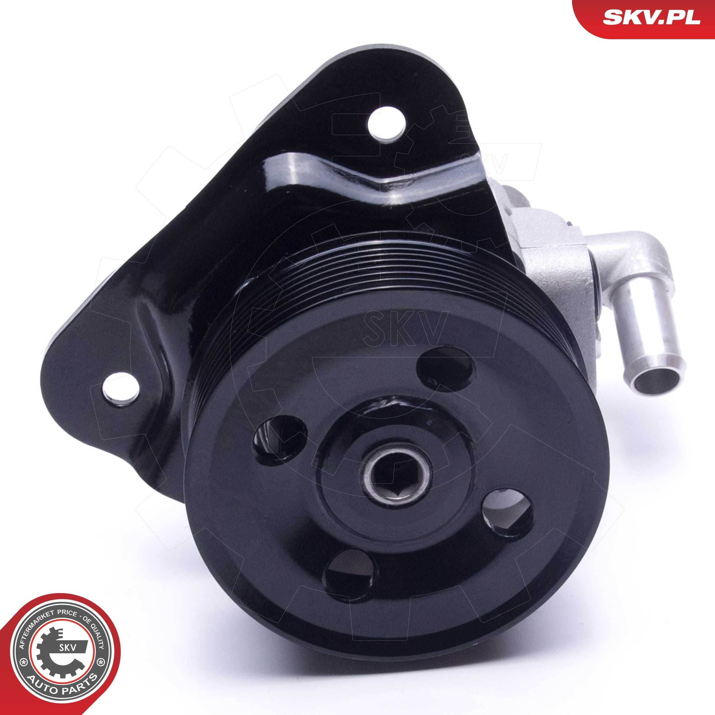 10SKV310 SKV Насос гідропідсилювача