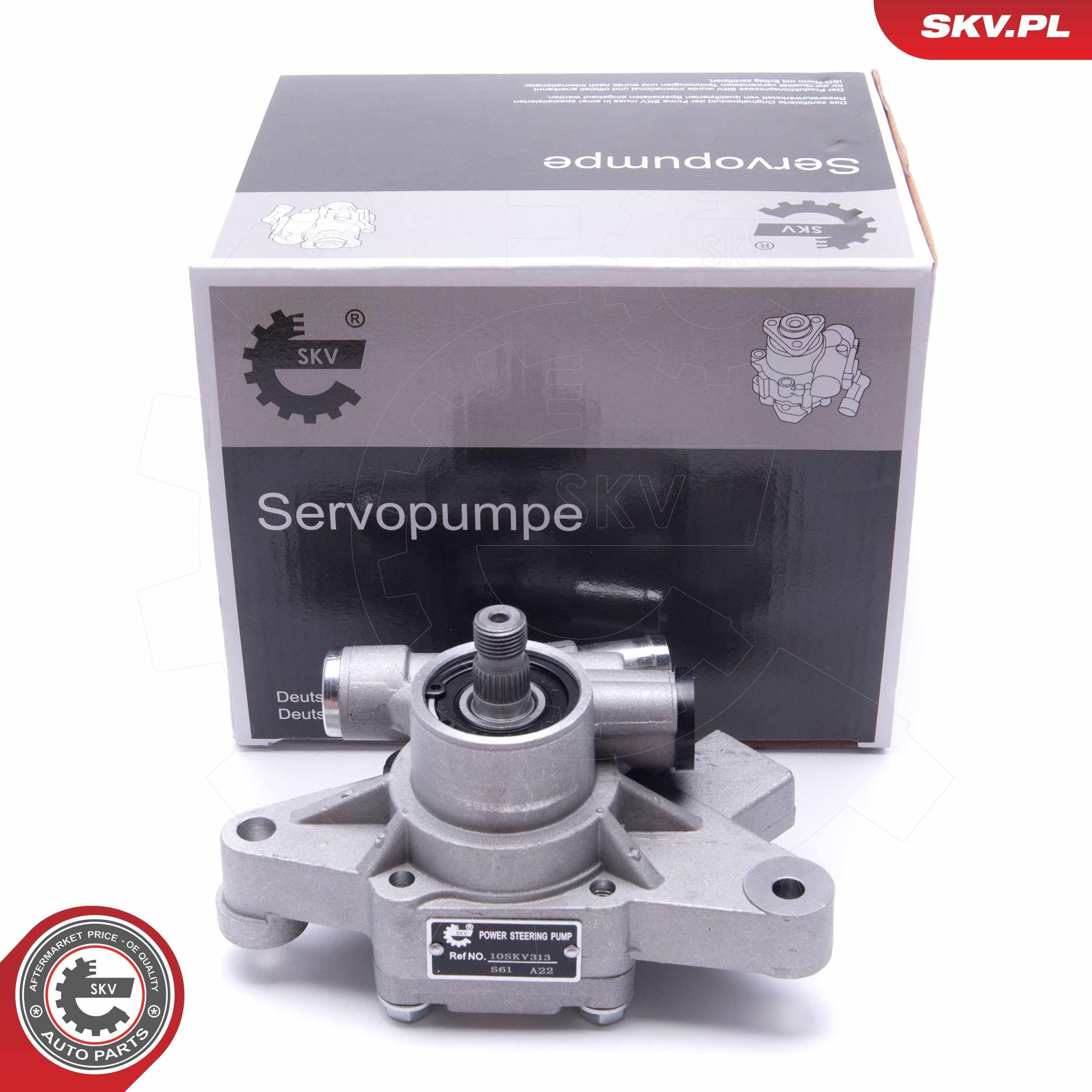 10SKV313 SKV Насос гідропідсилювача