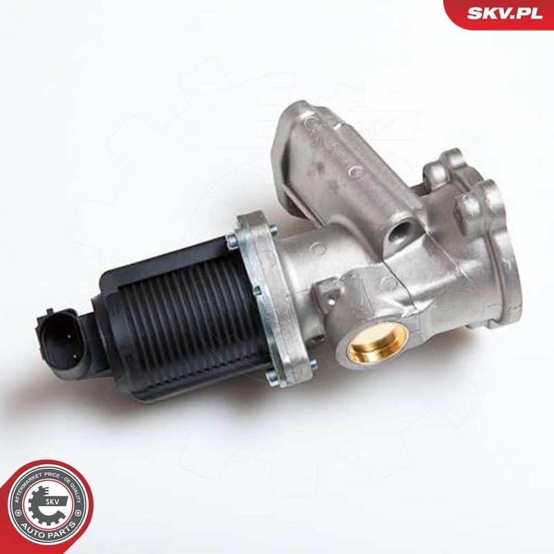 Клапан EGR SKV 14SKV014 ціна, від 49.82 USD