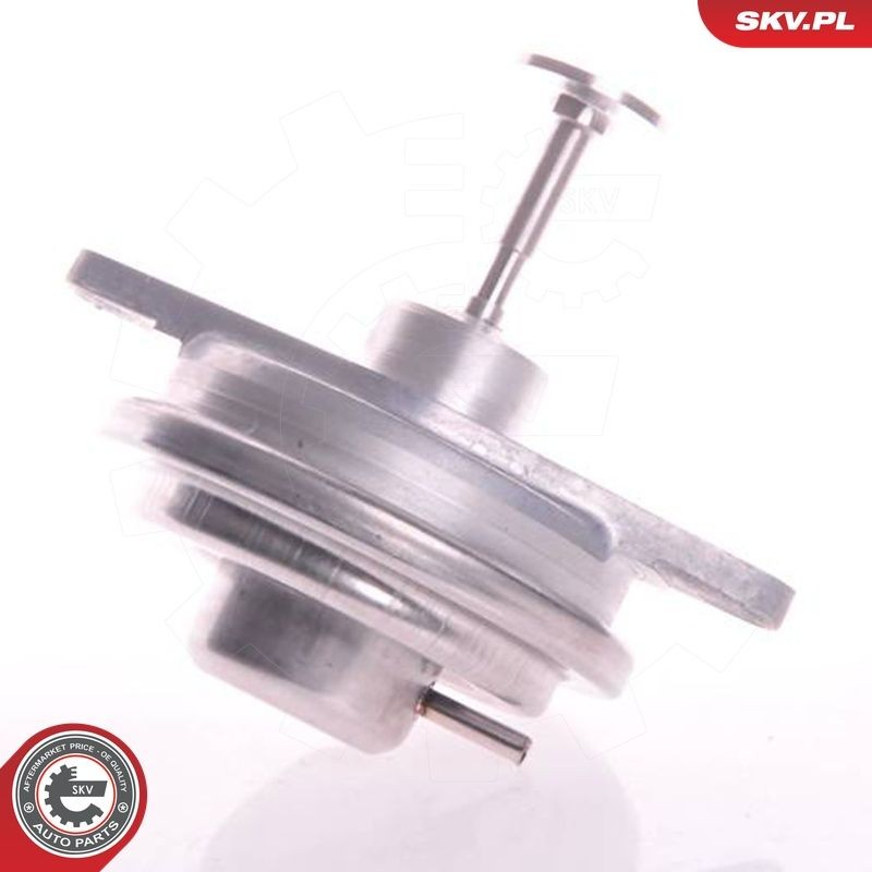 14SKV022 SKV Клапан рециркуляції відпрацьованих газів EGR