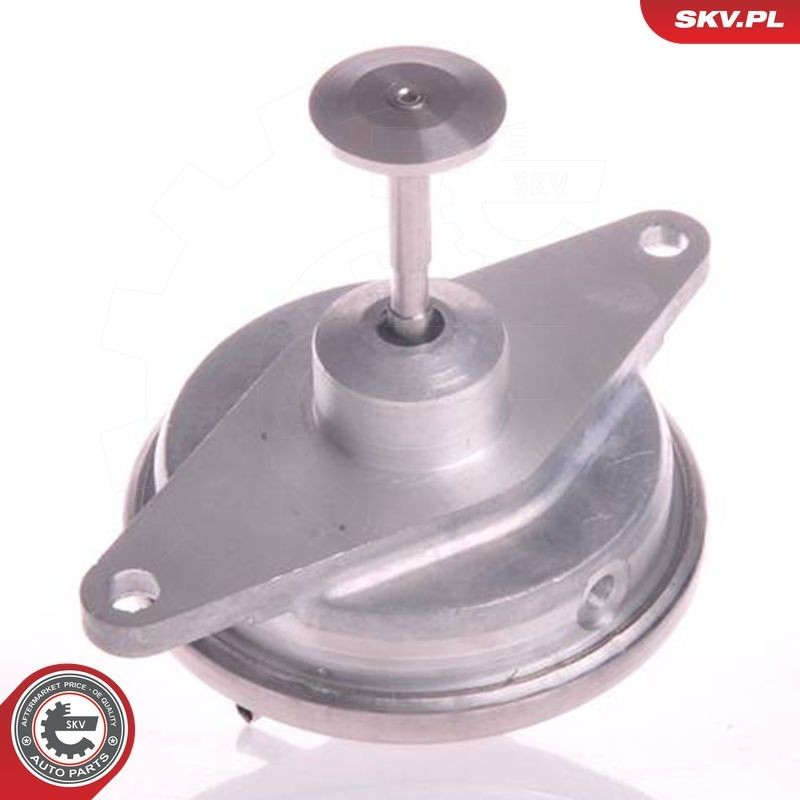 Клапан EGR SKV 14SKV022 ціна, від 26.08 USD