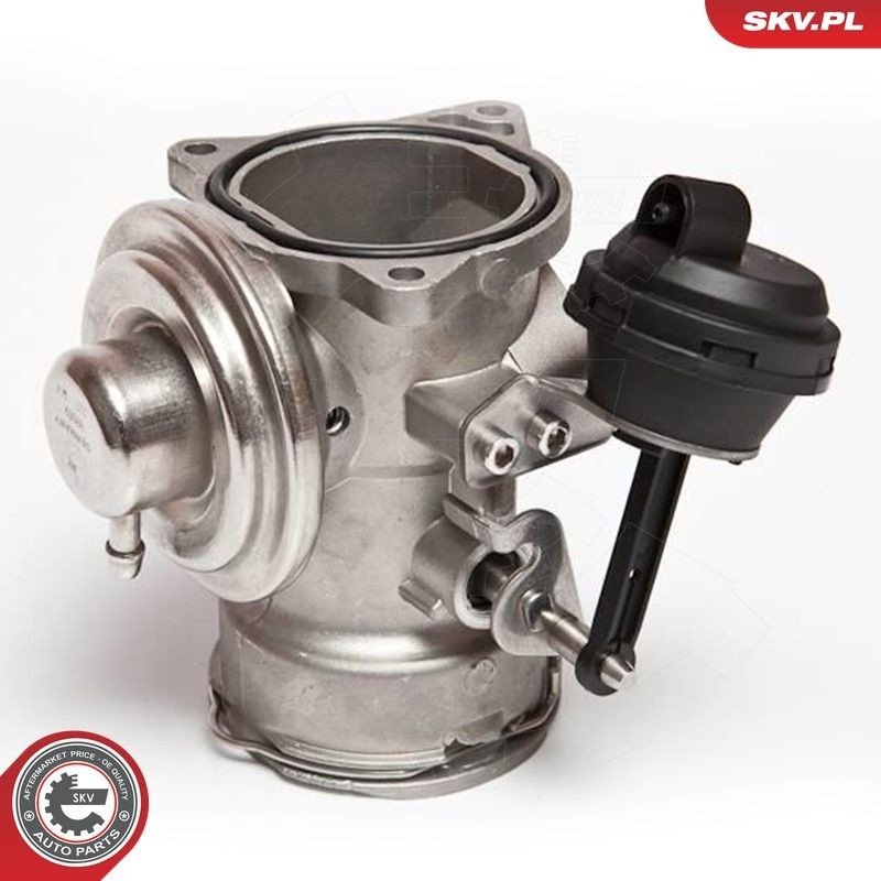 Клапан EGR SKV 14SKV025 ціна, від 35.09 USD
