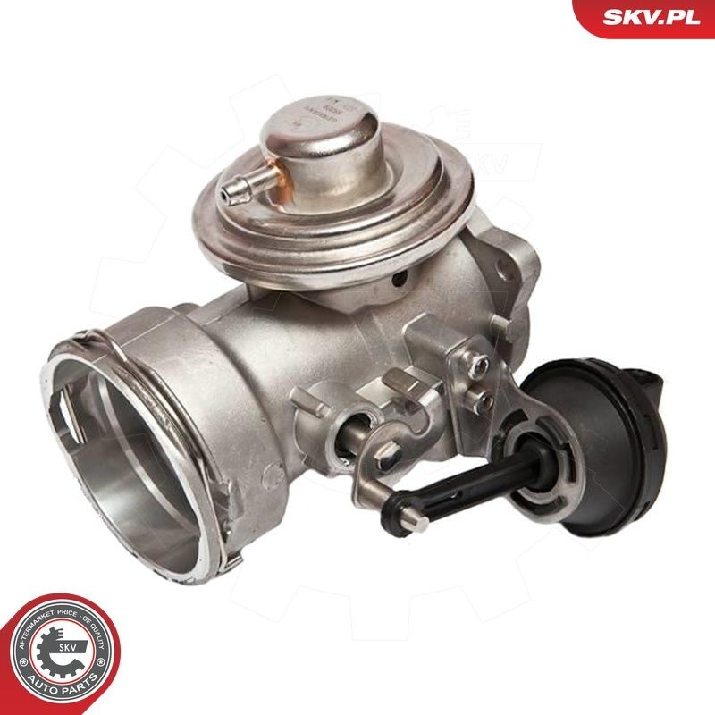 14SKV025 SKV Клапан рециркуляції відпрацьованих газів EGR