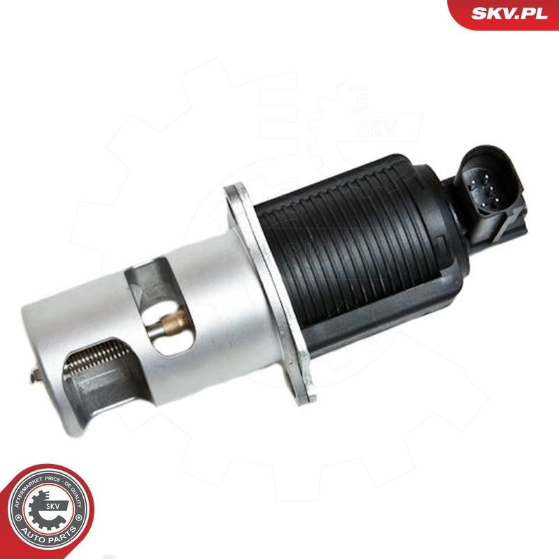 Клапан ЄГР 14SKV032 SKV