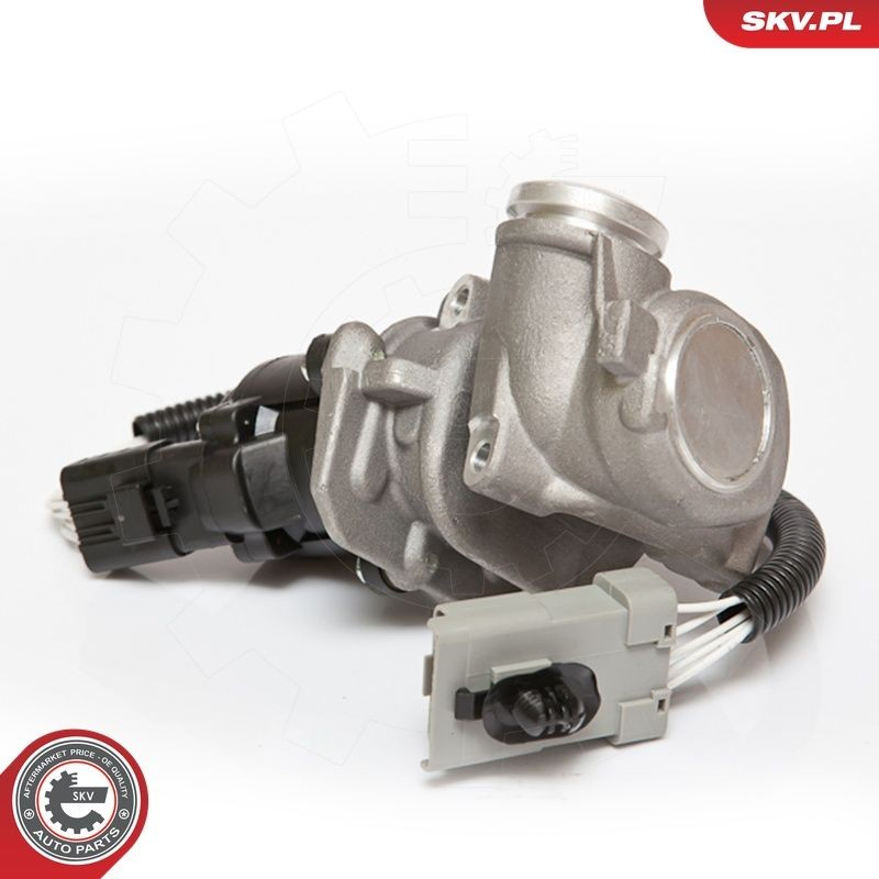 Клапан EGR SKV 14SKV067 ціна, від 63.33 USD