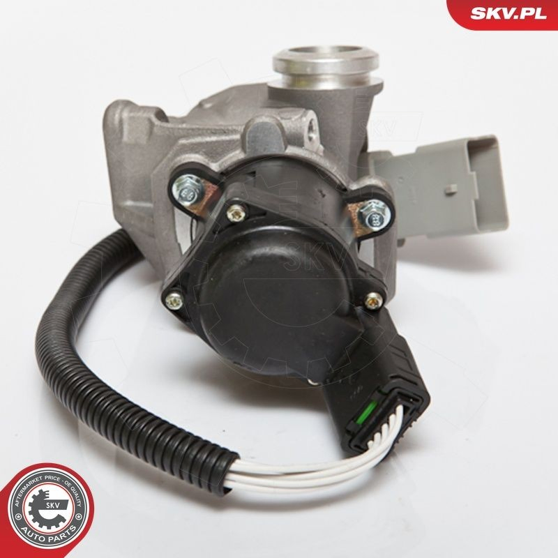 14SKV067 SKV Клапан рециркуляції відпрацьованих газів EGR