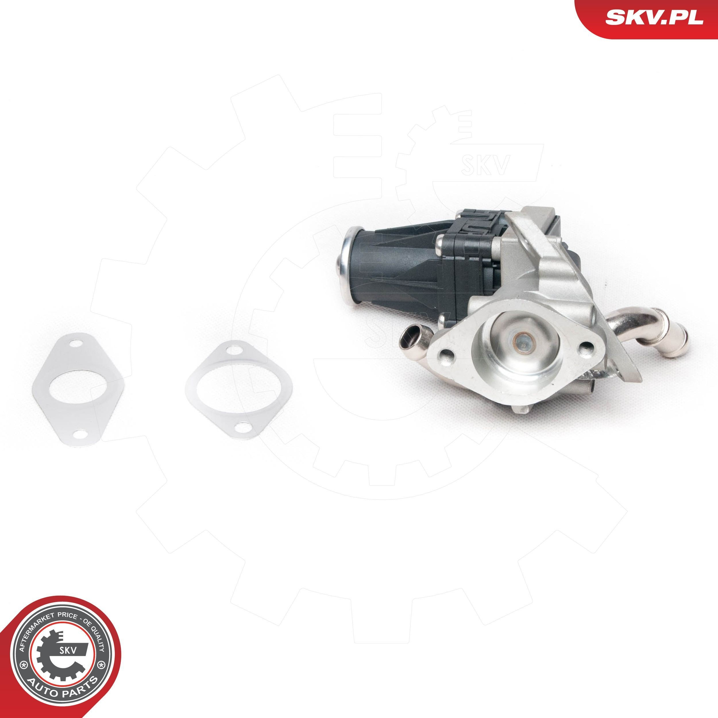 Клапан EGR SKV 14SKV100 ціна, від 67.72 USD
