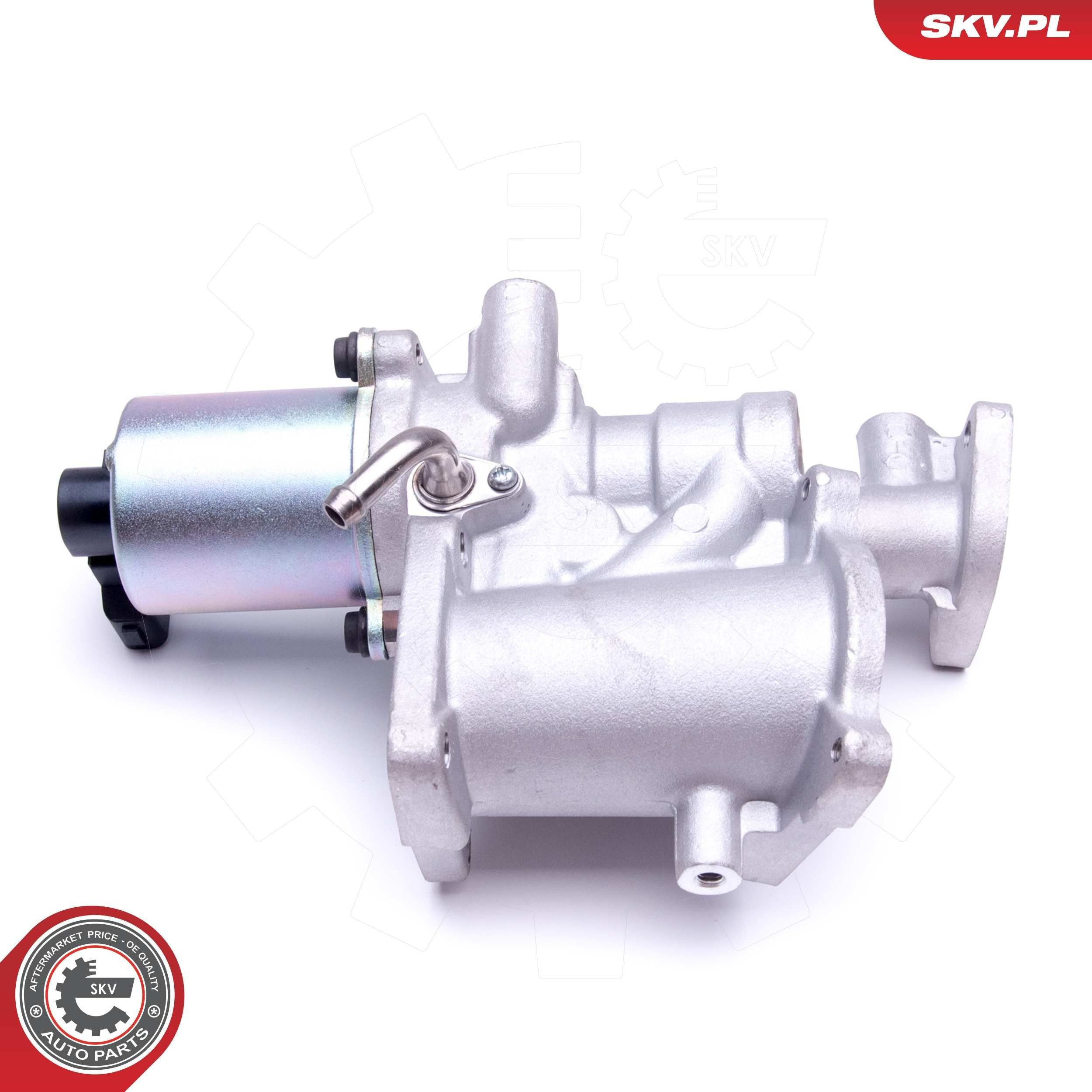 14SKV166 SKV Клапан рециркуляції відпрацьованих газів EGR