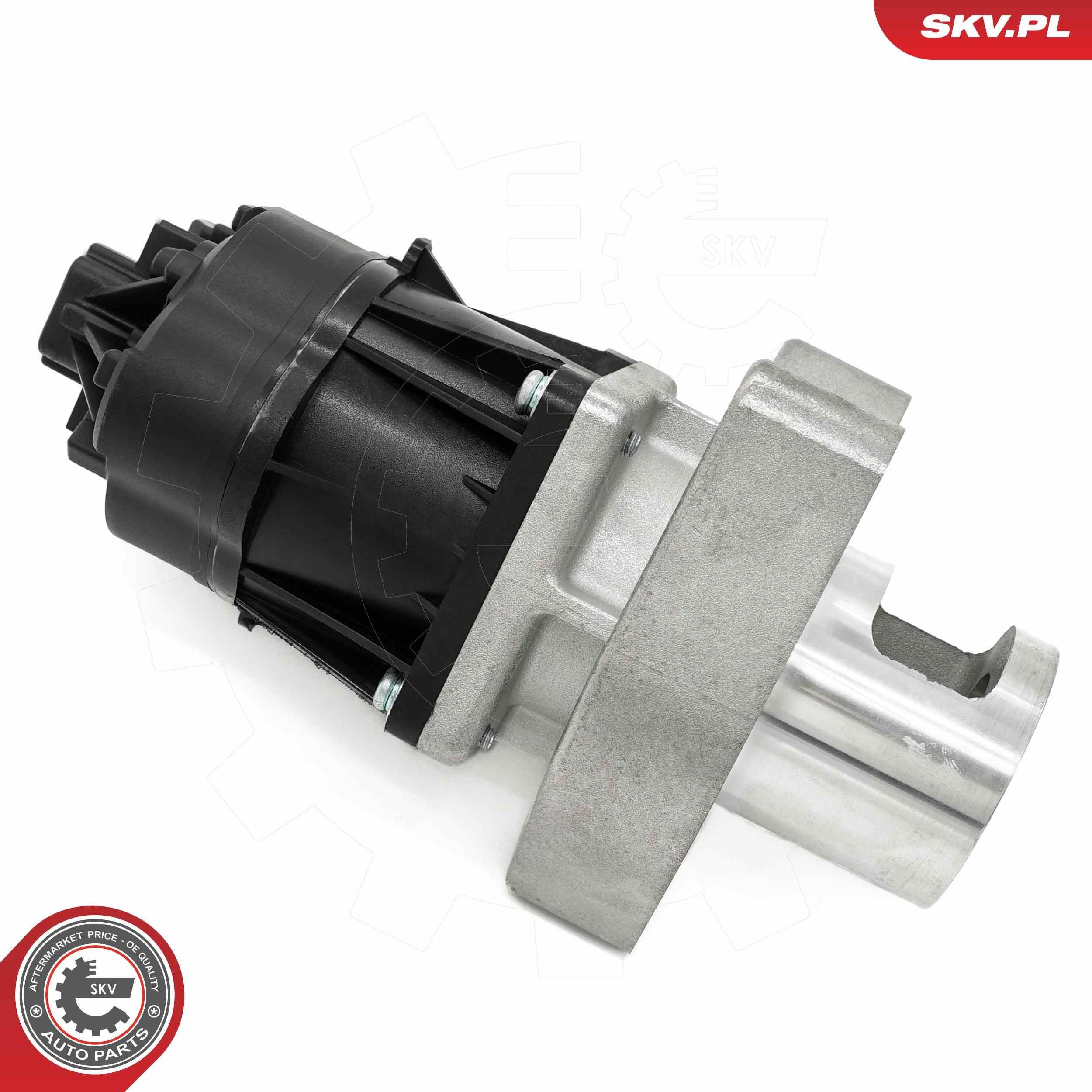 Клапан EGR SKV 14SKV254 ціна, від 110.50 USD