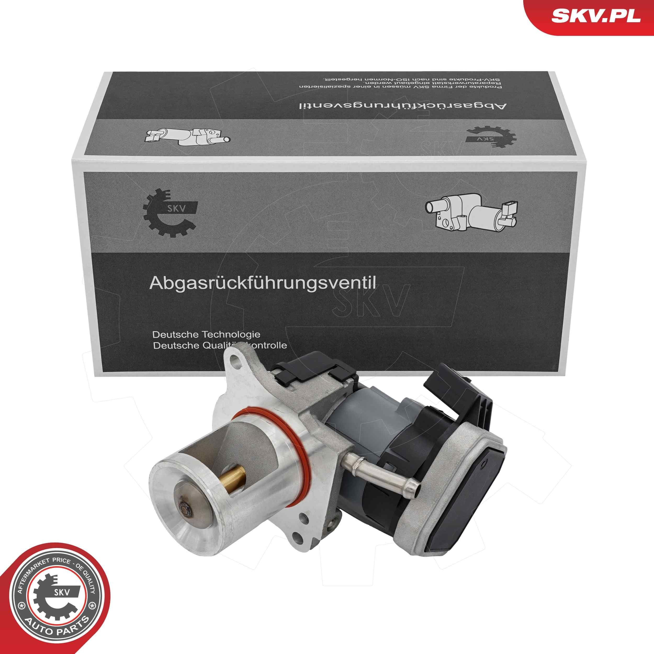 Клапан EGR SKV 14SKV310 ціна, від 169.66 USD