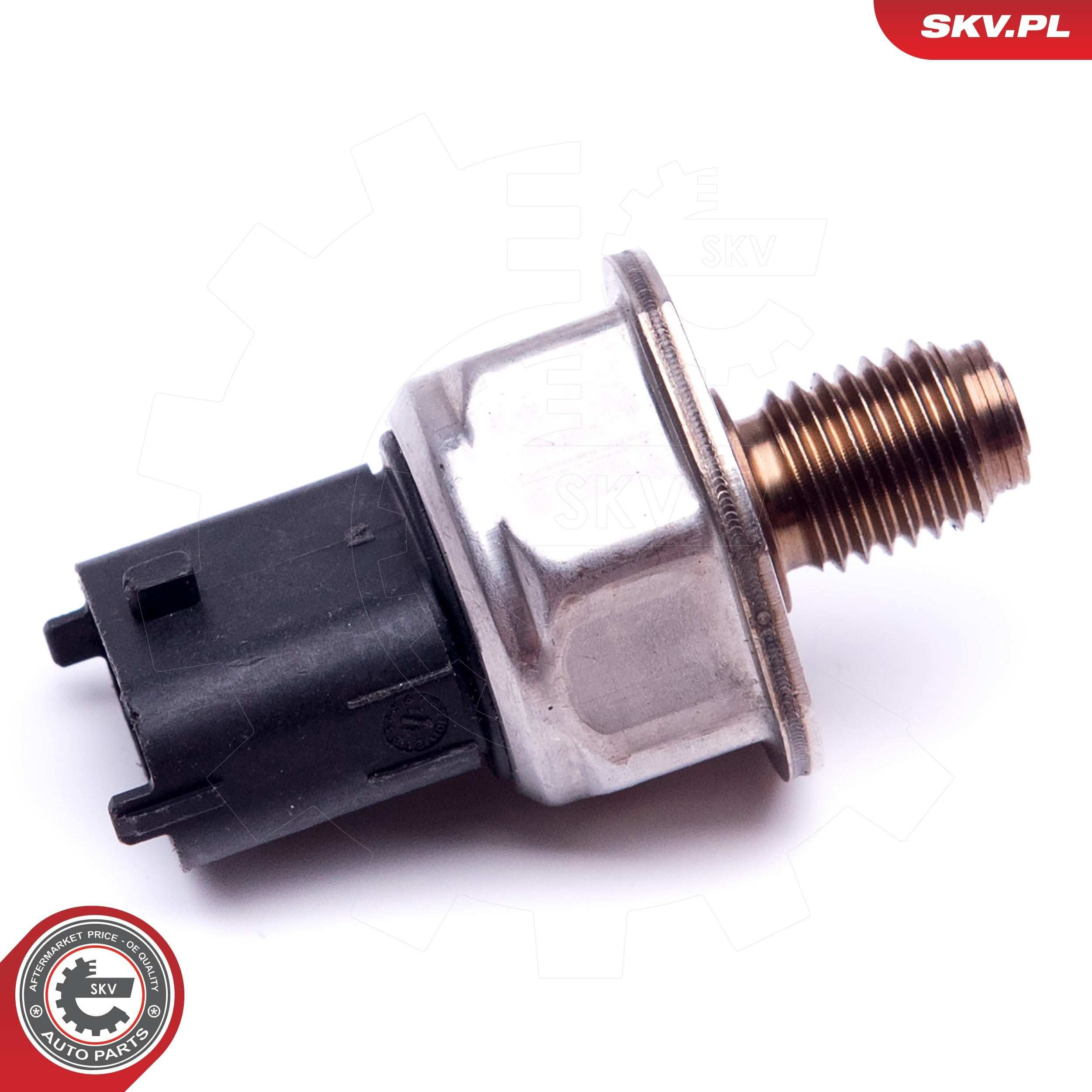 17SKV596 SKV Манометри