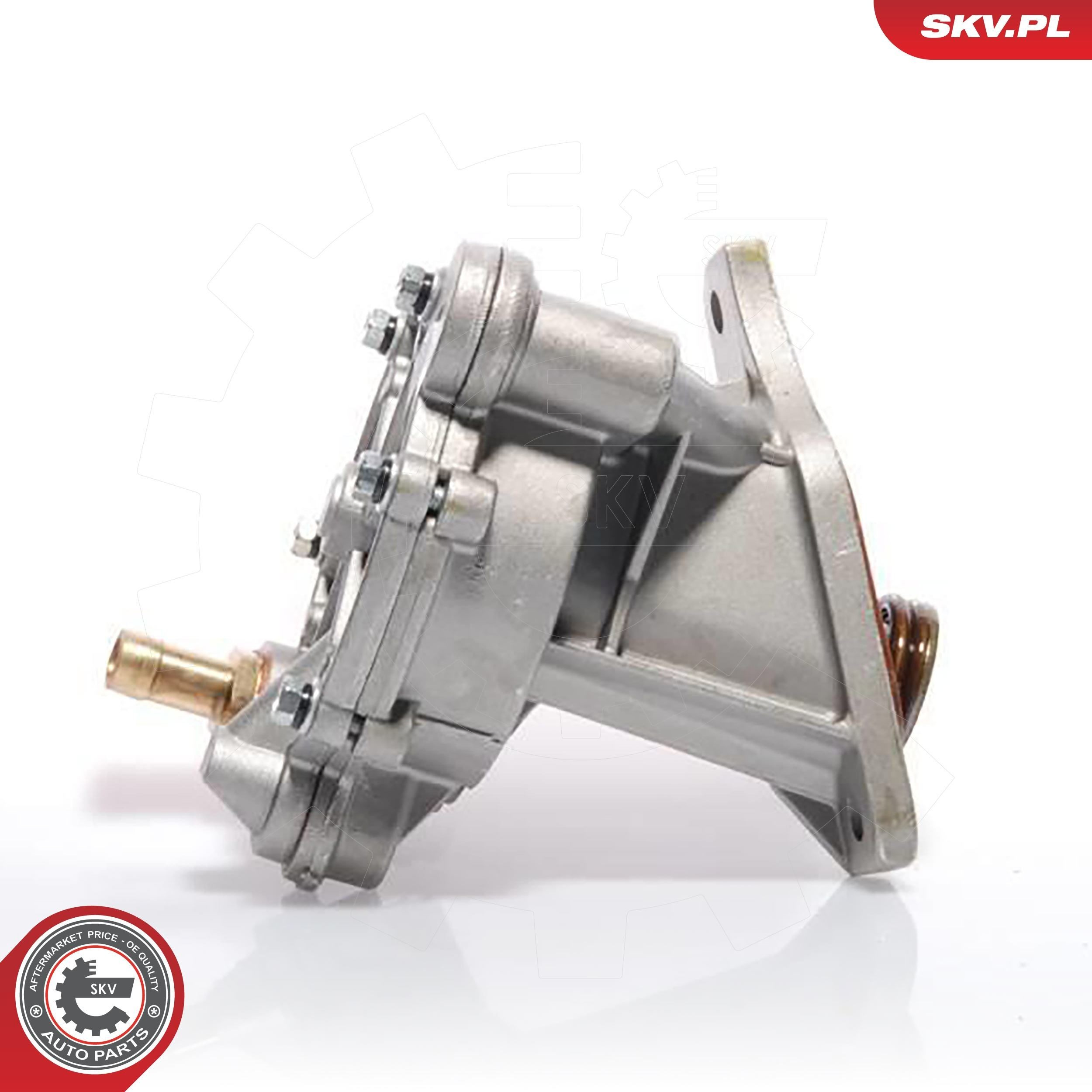 18SKV005 SKV Насос вакуумний
