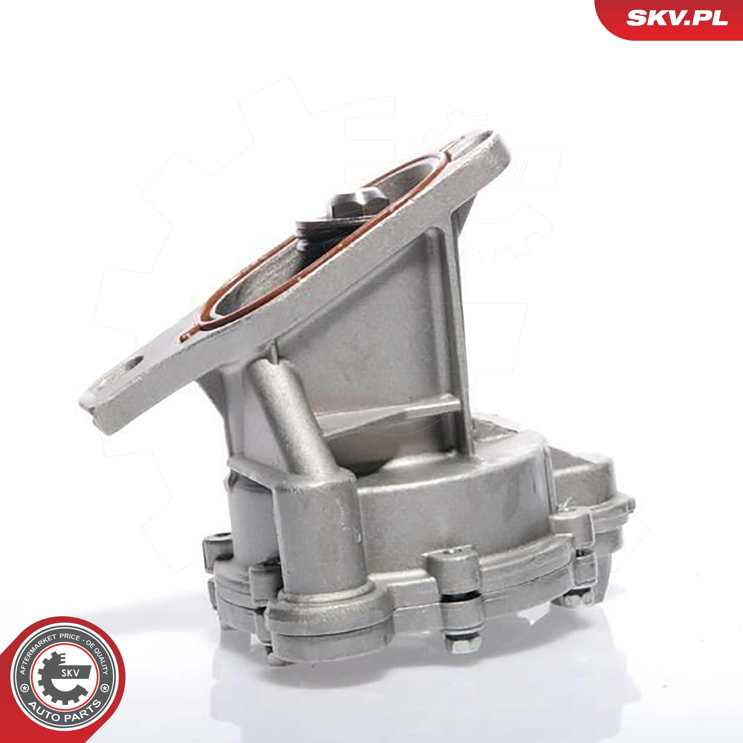 Вакуумний насос 18SKV009 SKV