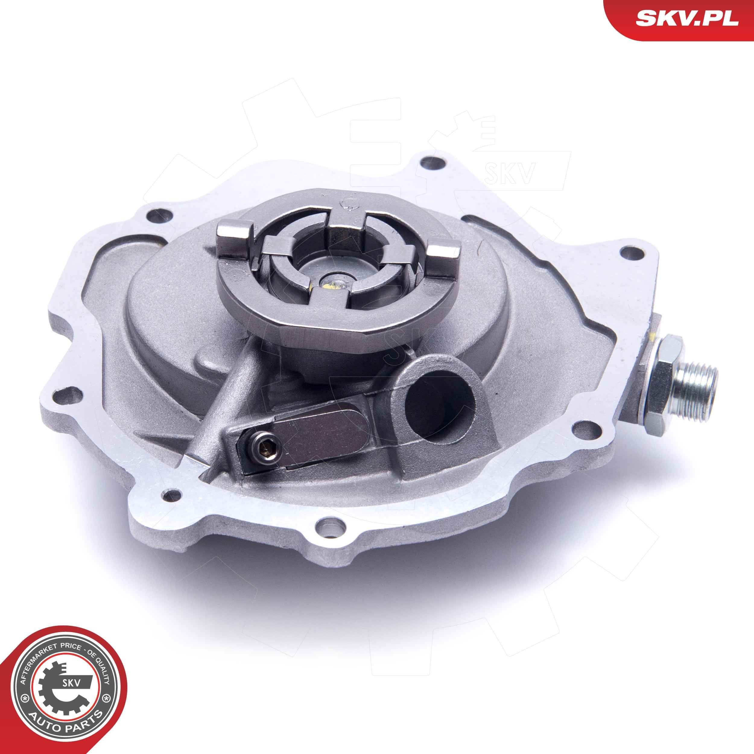 18SKV029 SKV Насос вакуумний