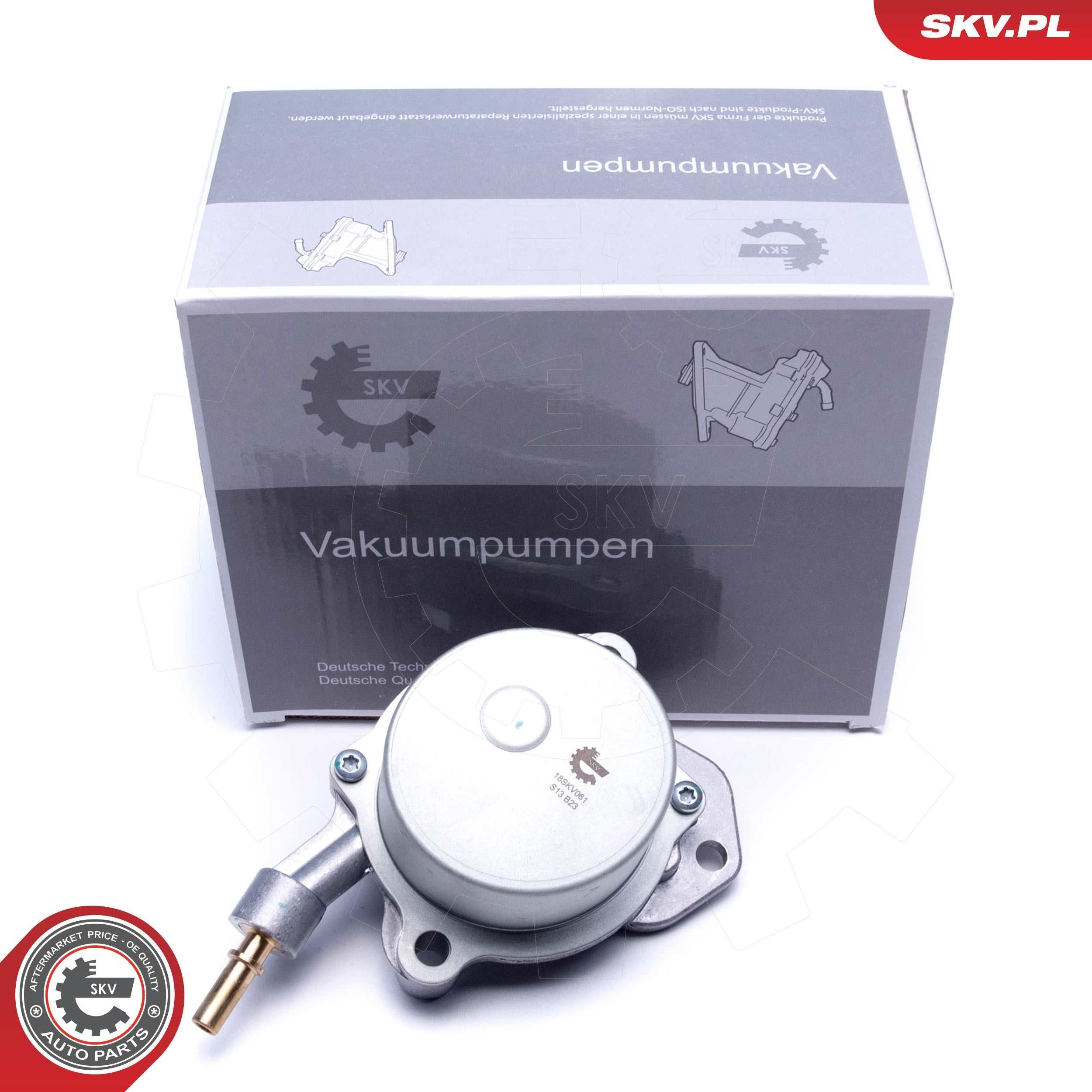 18SKV061 SKV Насос вакуумний