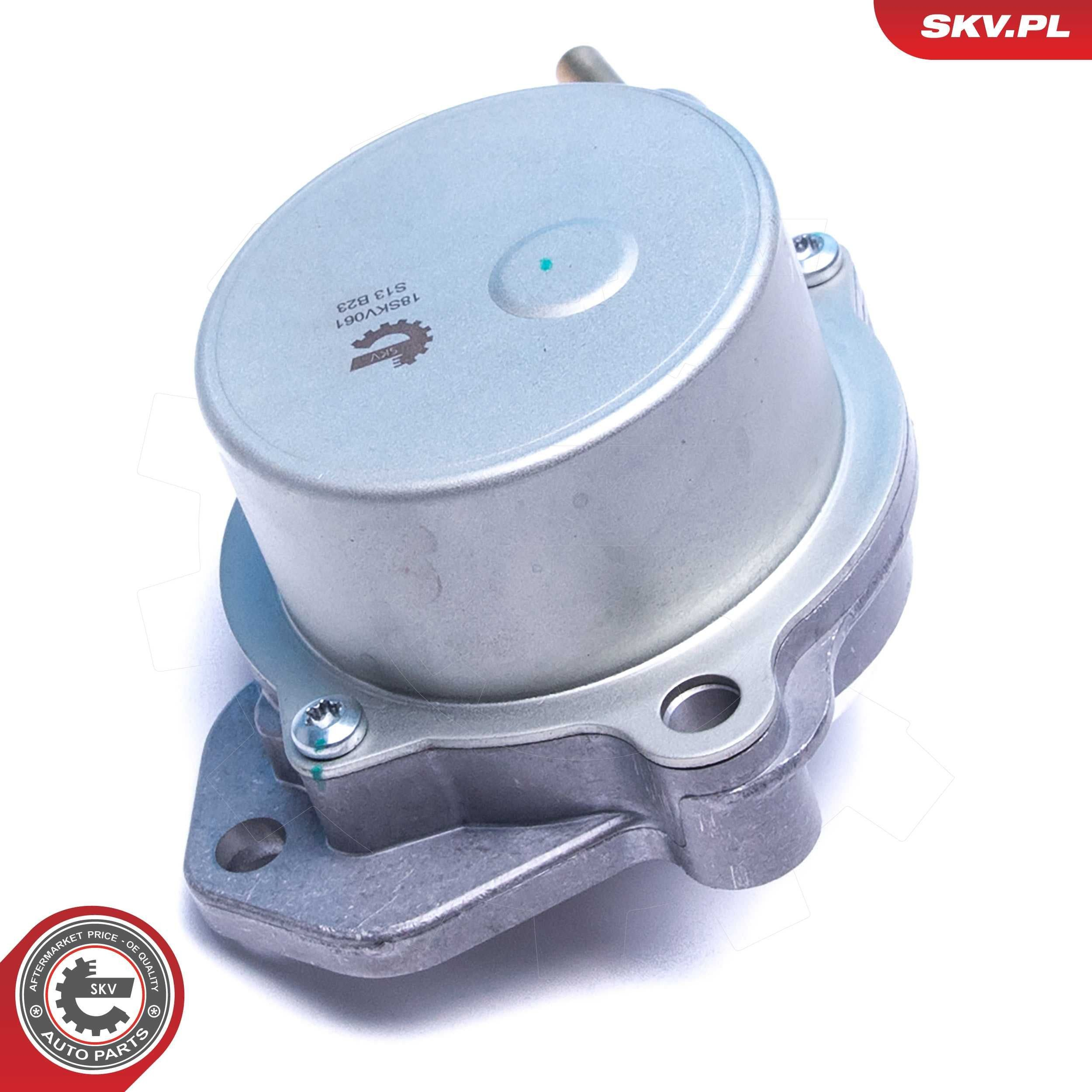Насос вакуумний SKV 18SKV061 ціна, від 12.50 USD