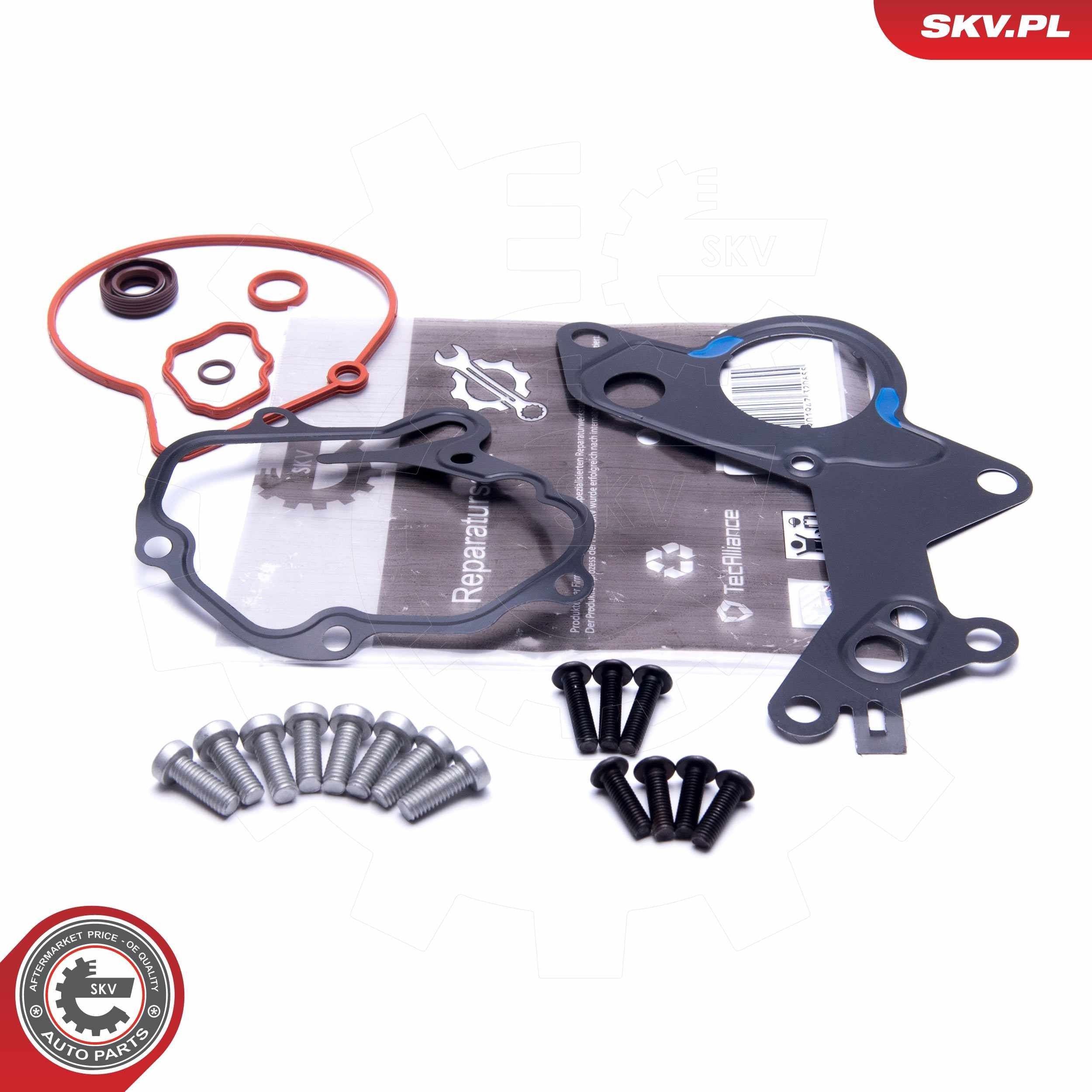 Купити 18SKV801 SKV Ремкомплект вакуумного насоса
