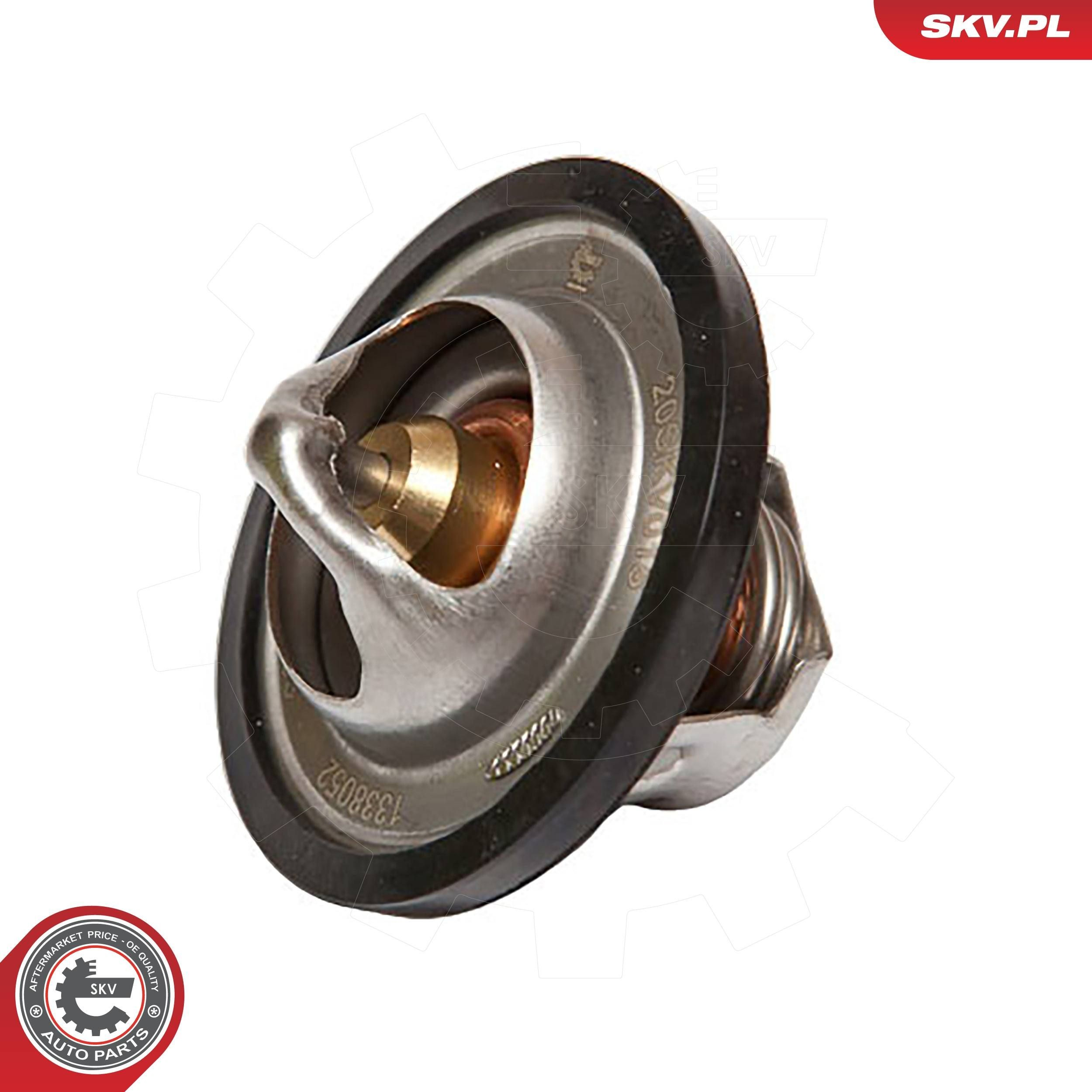 Термостат в зборі SKV 20SKV015
