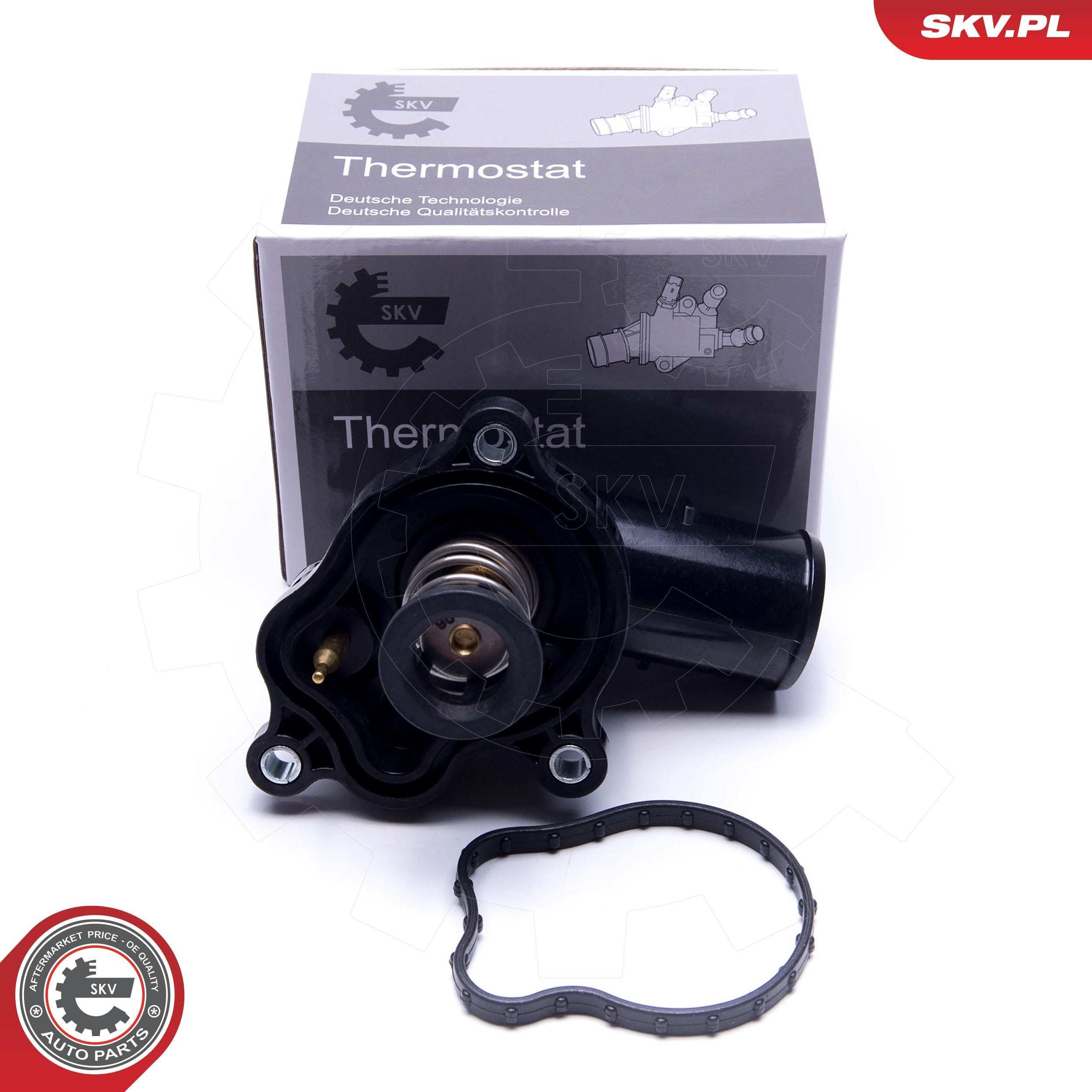 Термостат в зборі SKV 20SKV119