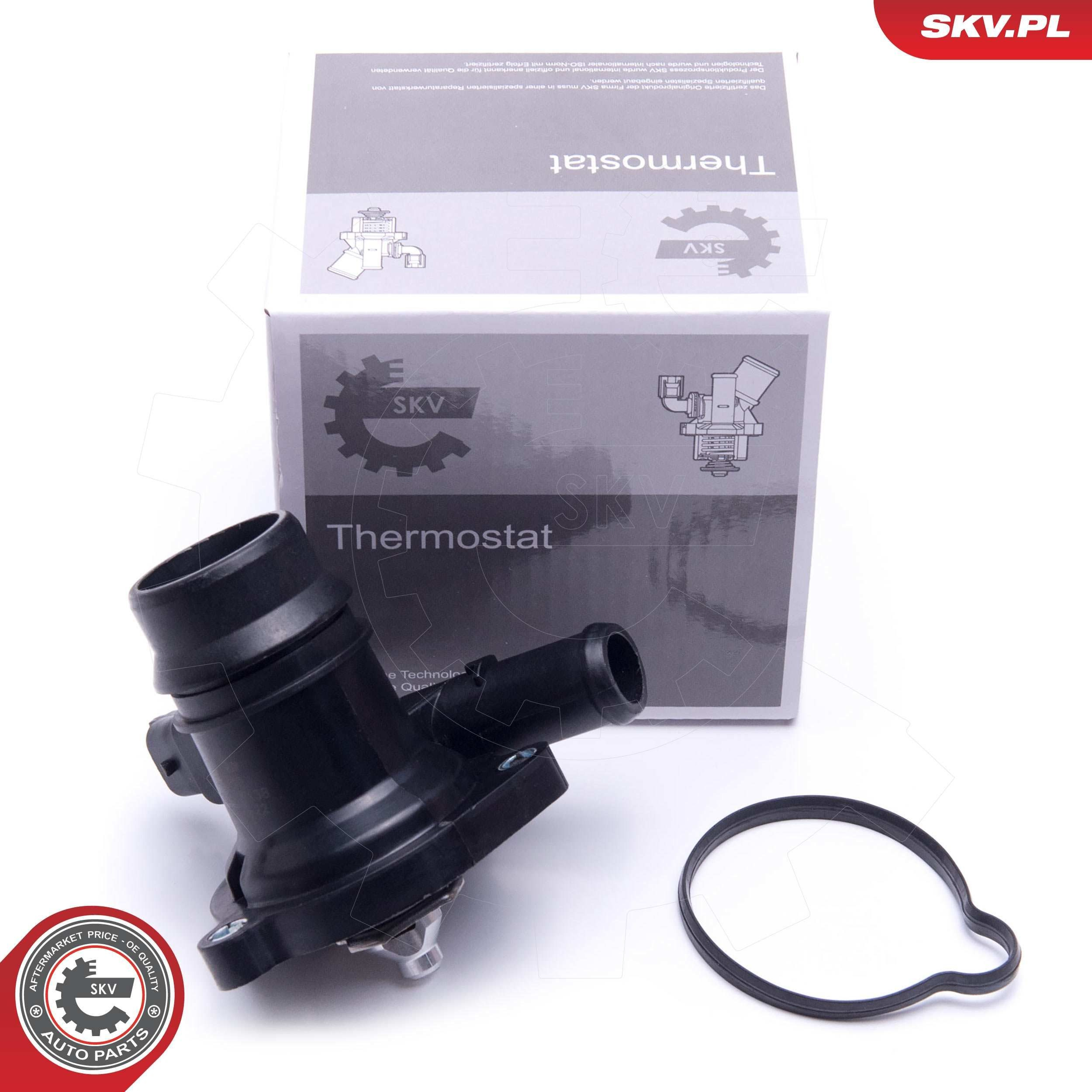 Купити 20SKV138 SKV Термостат в корпусі