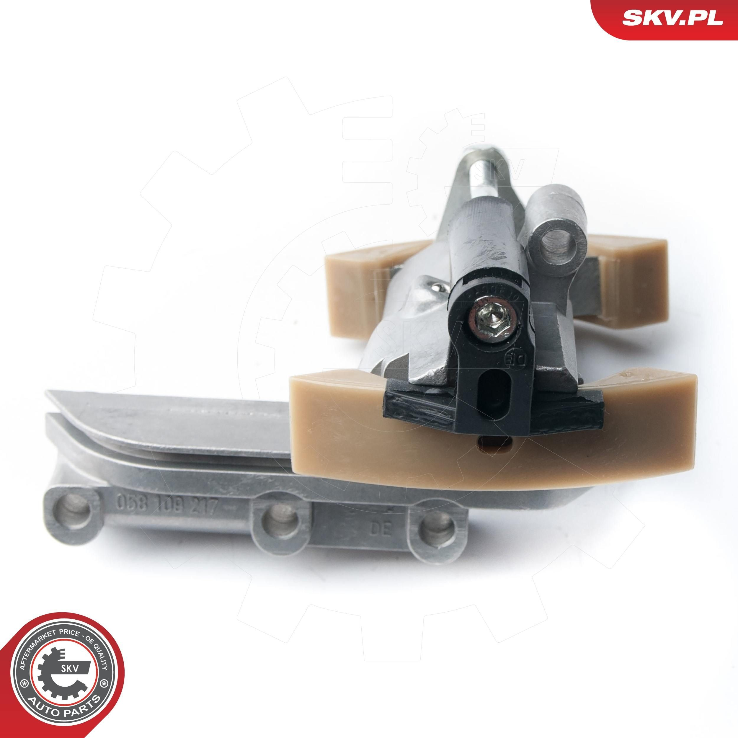 21SKV011 SKV Натягувач ланцюга ГРМ